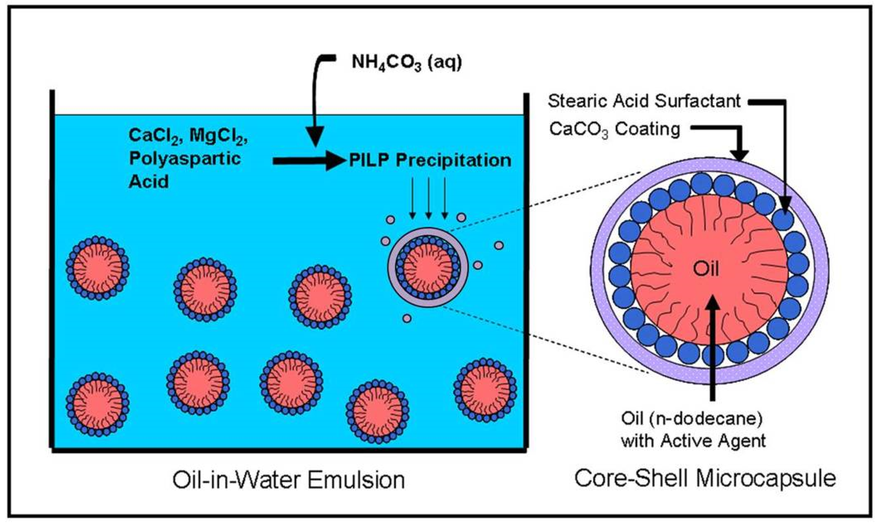 Applsci 10 08551 g001