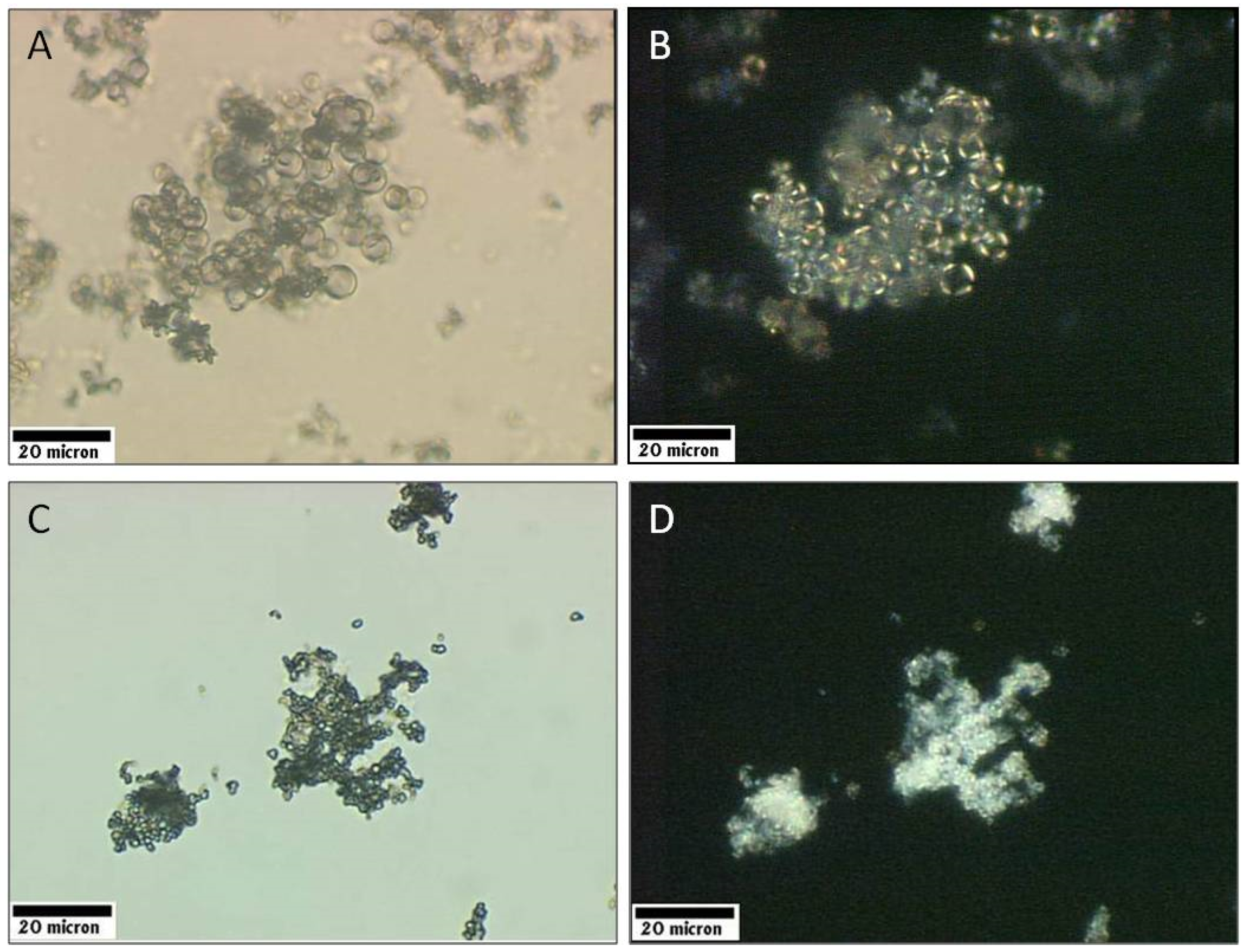 Applsci 10 08551 g002