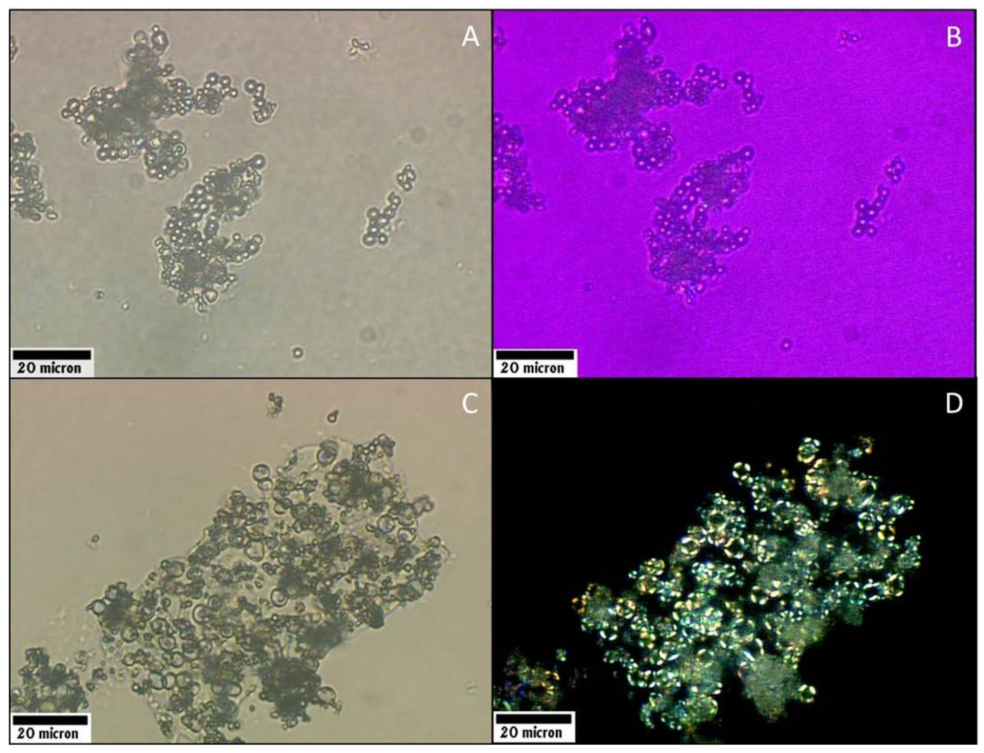 Applsci 10 08551 g005