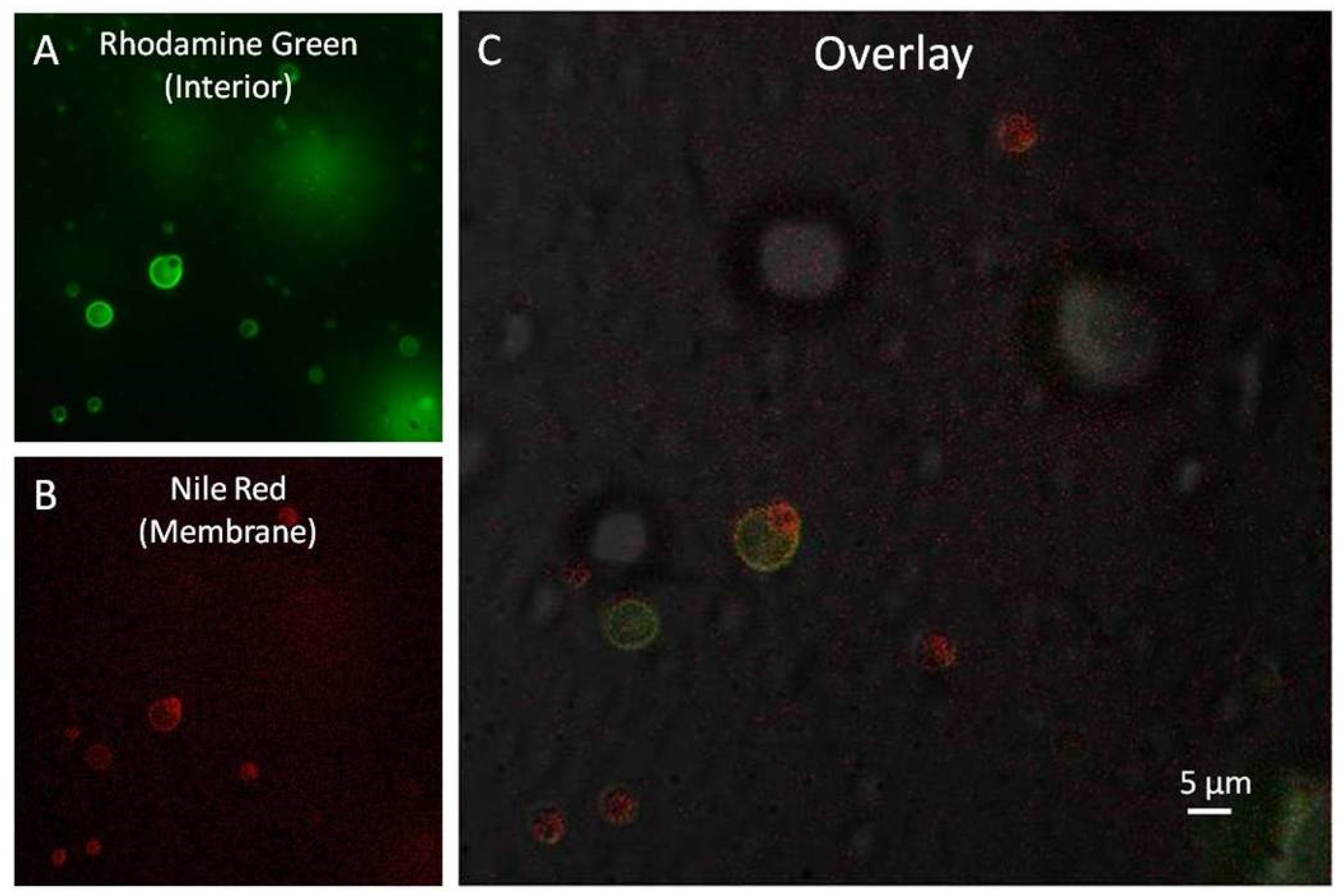 Applsci 10 08551 g008