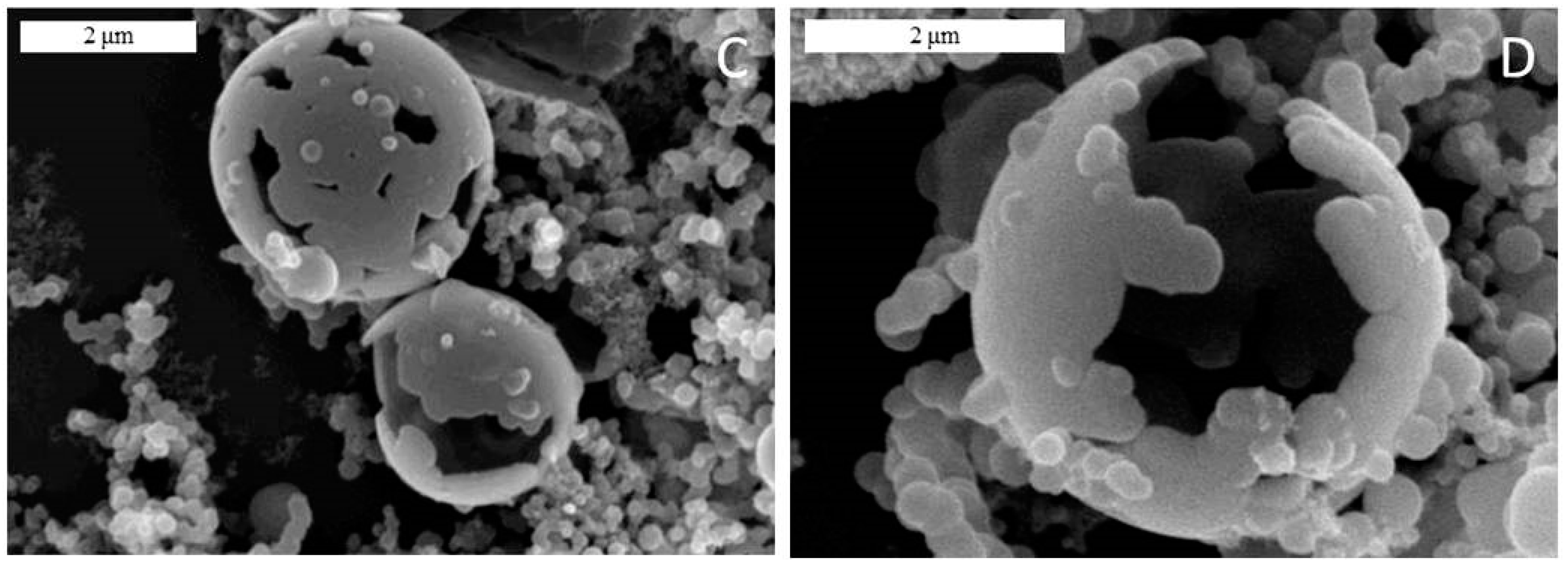 Applsci 10 08551 g009b