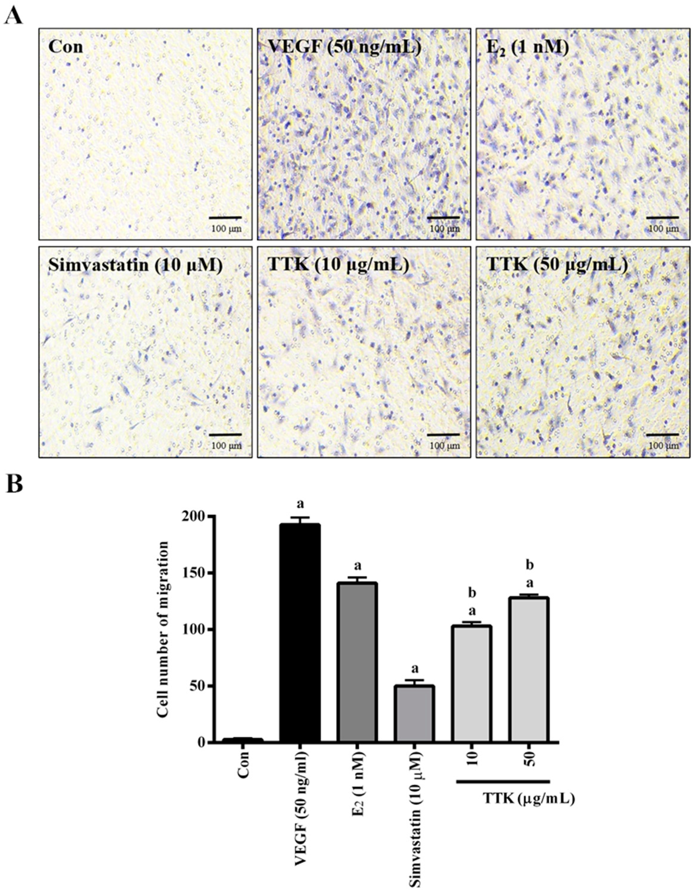 Applsci 10 08562 g002 Applsci 10 08562 g002