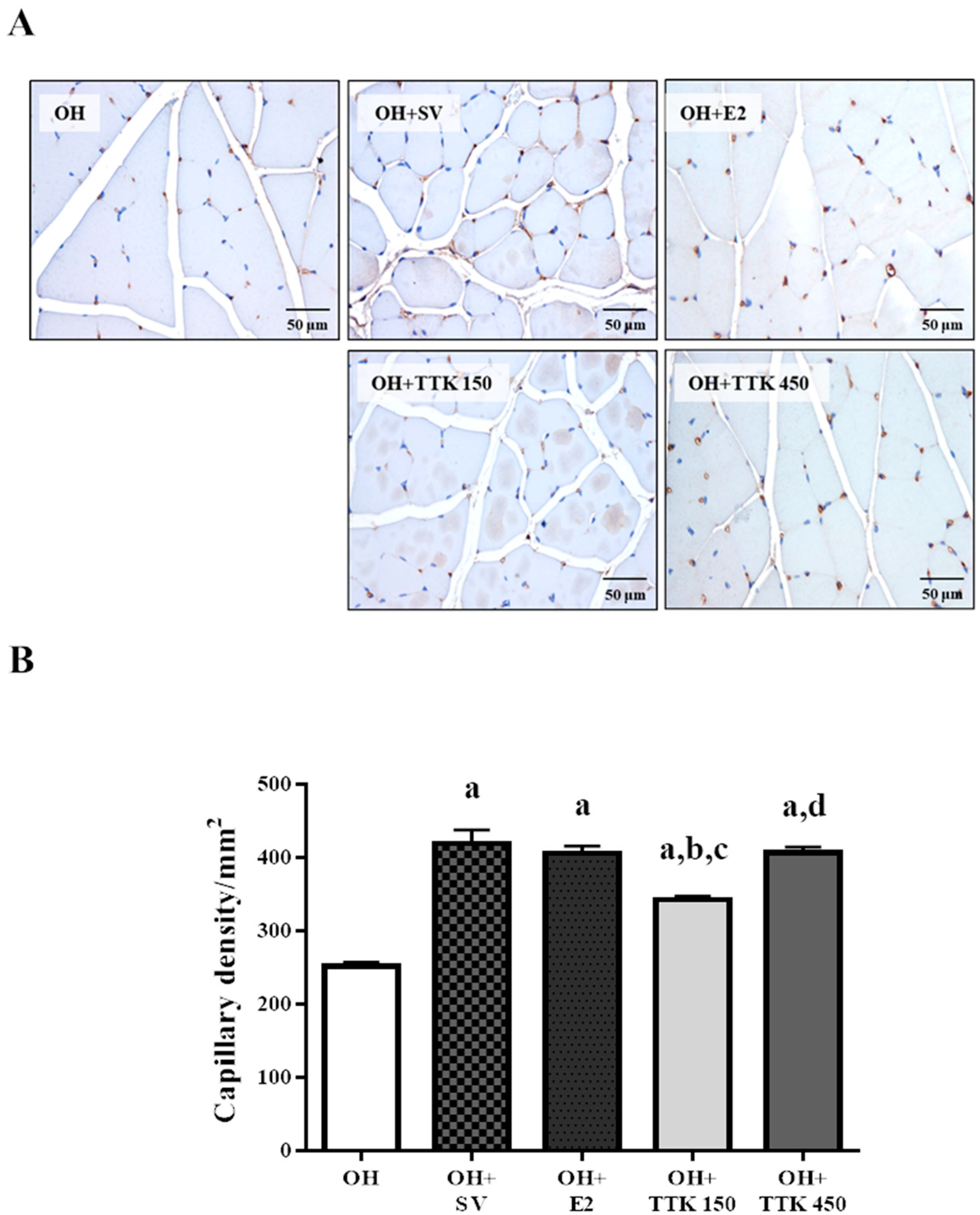 Applsci 10 08562 g005 Applsci 10 08562 g005