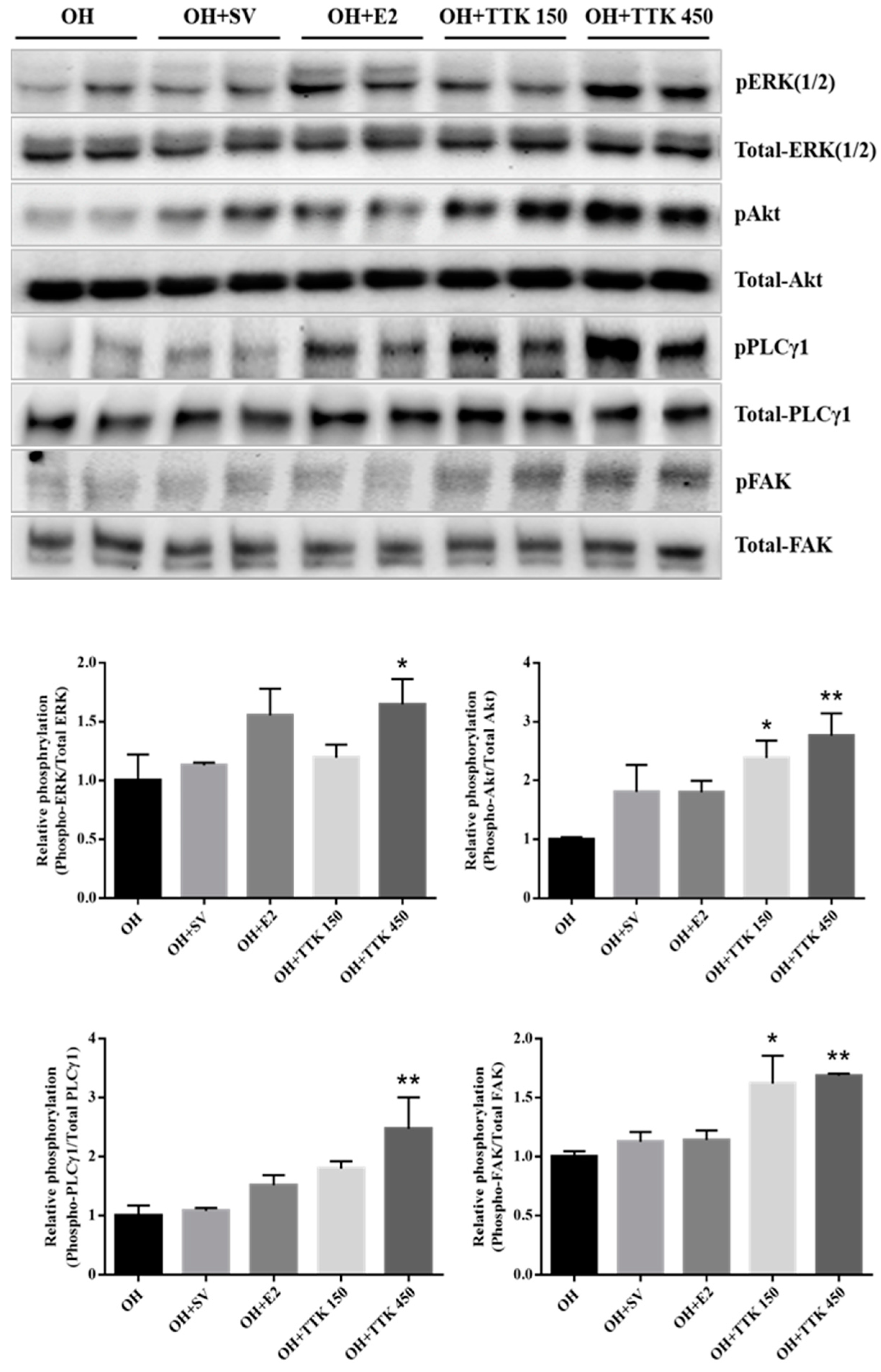 Applsci 10 08562 g006 Applsci 10 08562 g006
