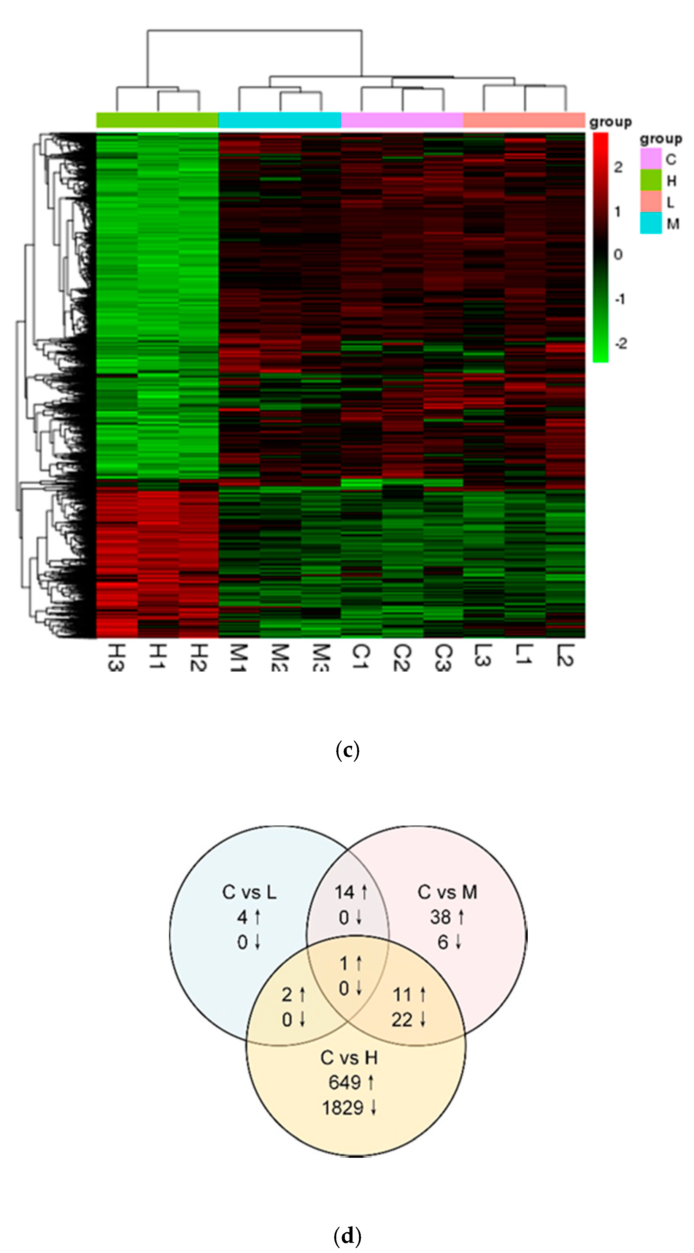 Applsci 10 08565 g002b Applsci 10 08565 g002b