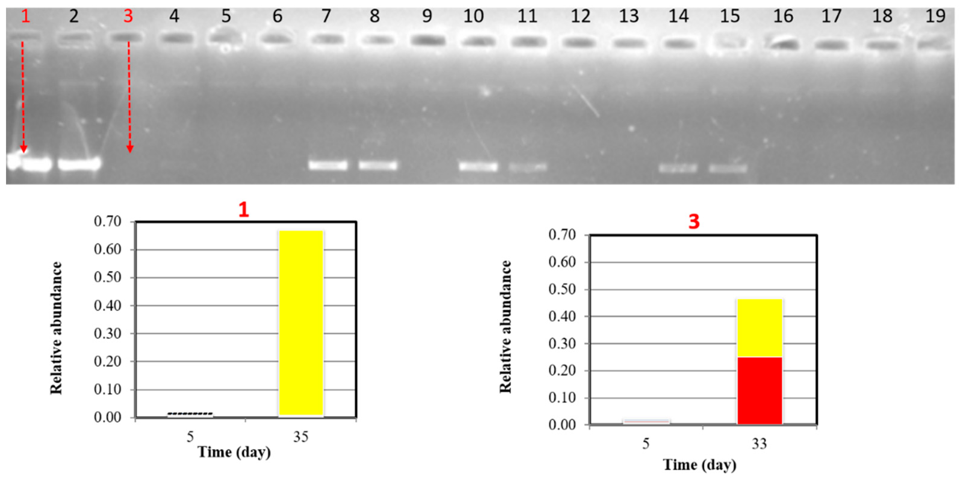 Applsci 10 08570 g002 Applsci 10 08570 g002