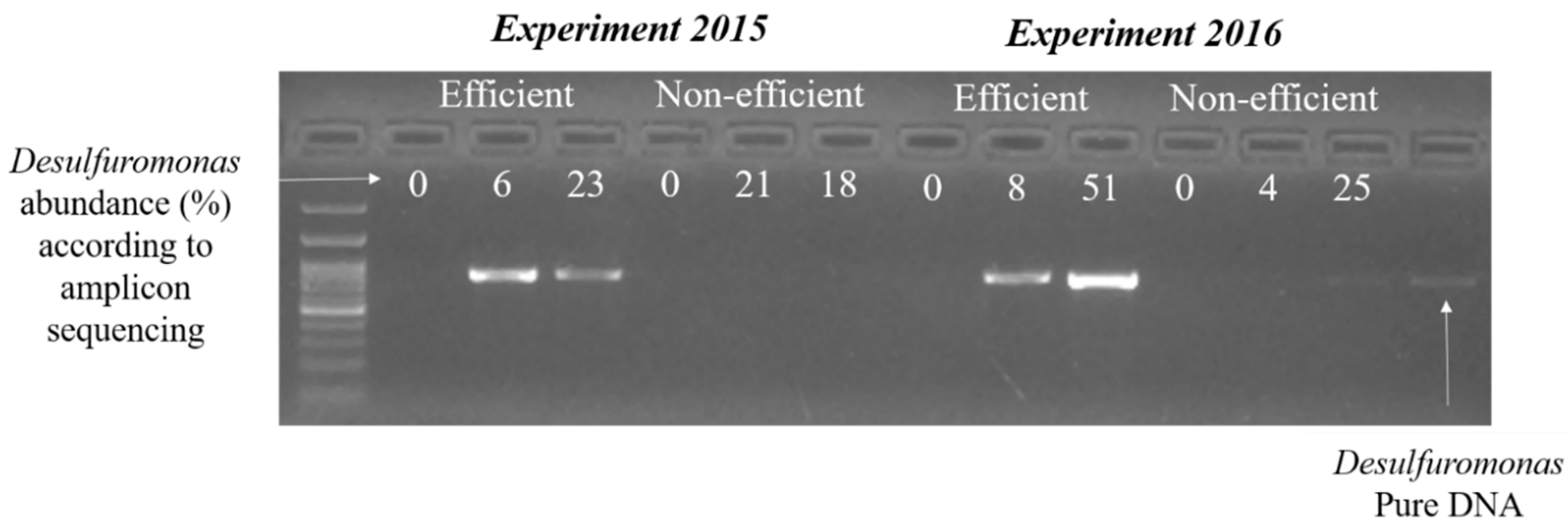 Applsci 10 08570 g003 Applsci 10 08570 g003