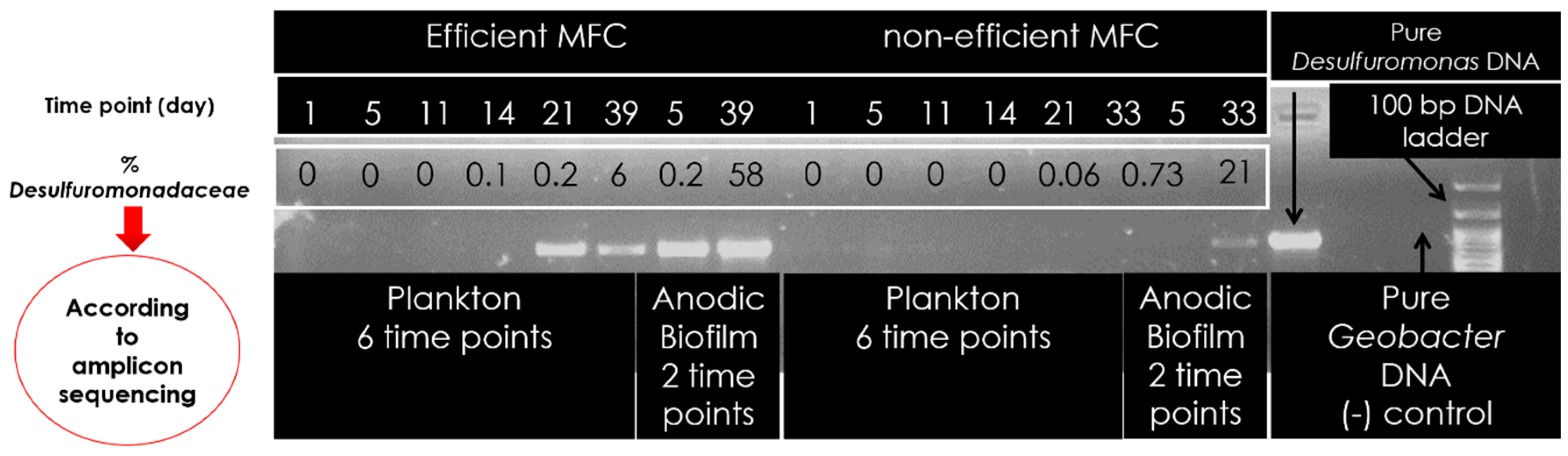 Applsci 10 08570 g004 Applsci 10 08570 g004