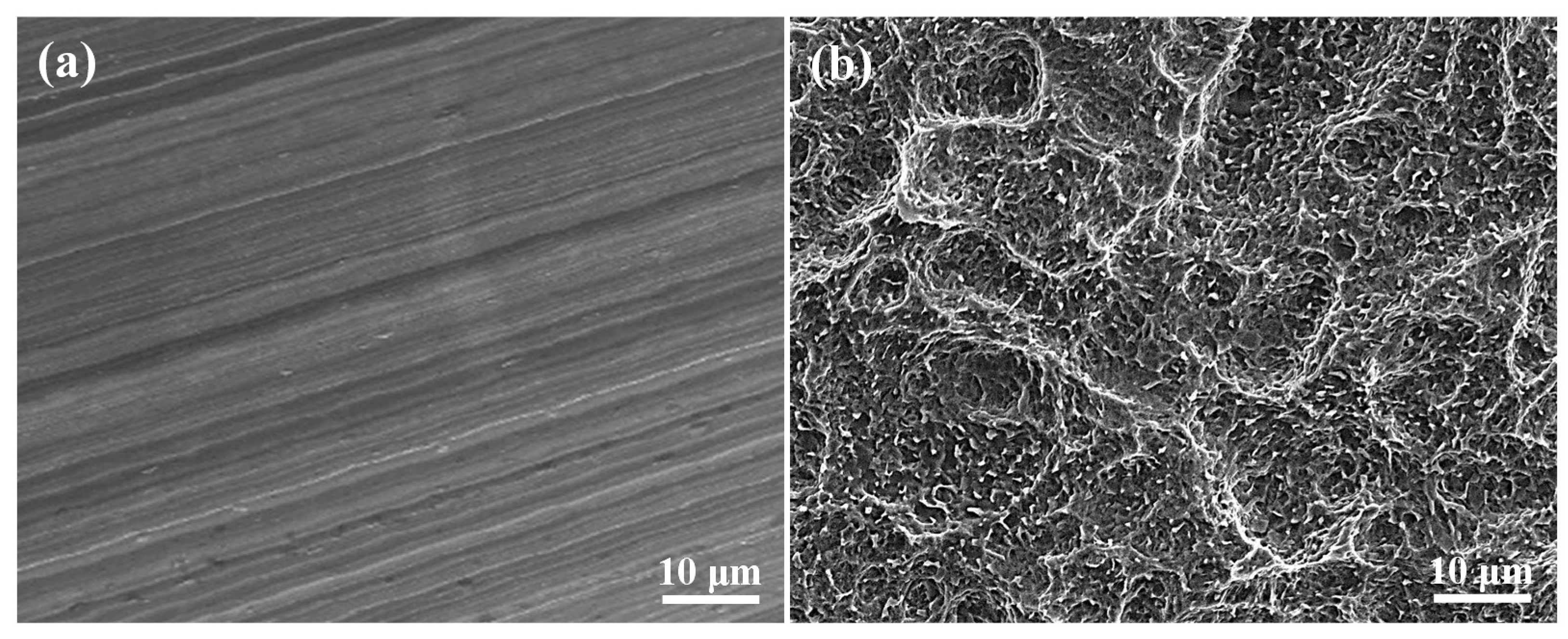 Applsci 10 08582 g003 Applsci 10 08582 g003