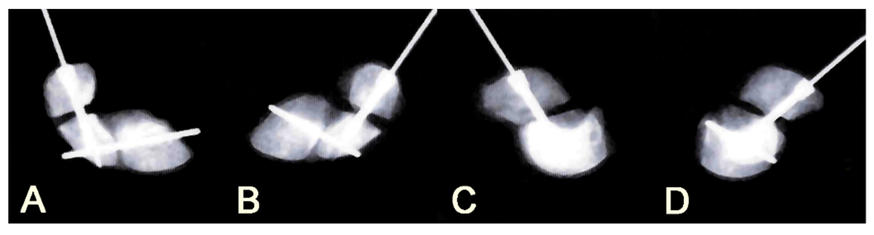 Applsci 10 08592 g002