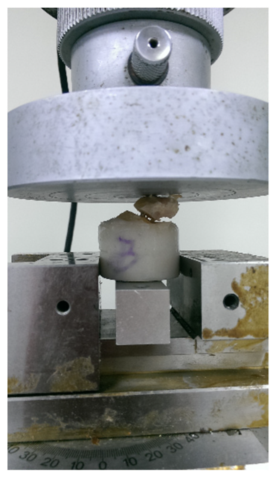 Applsci 10 08592 g003