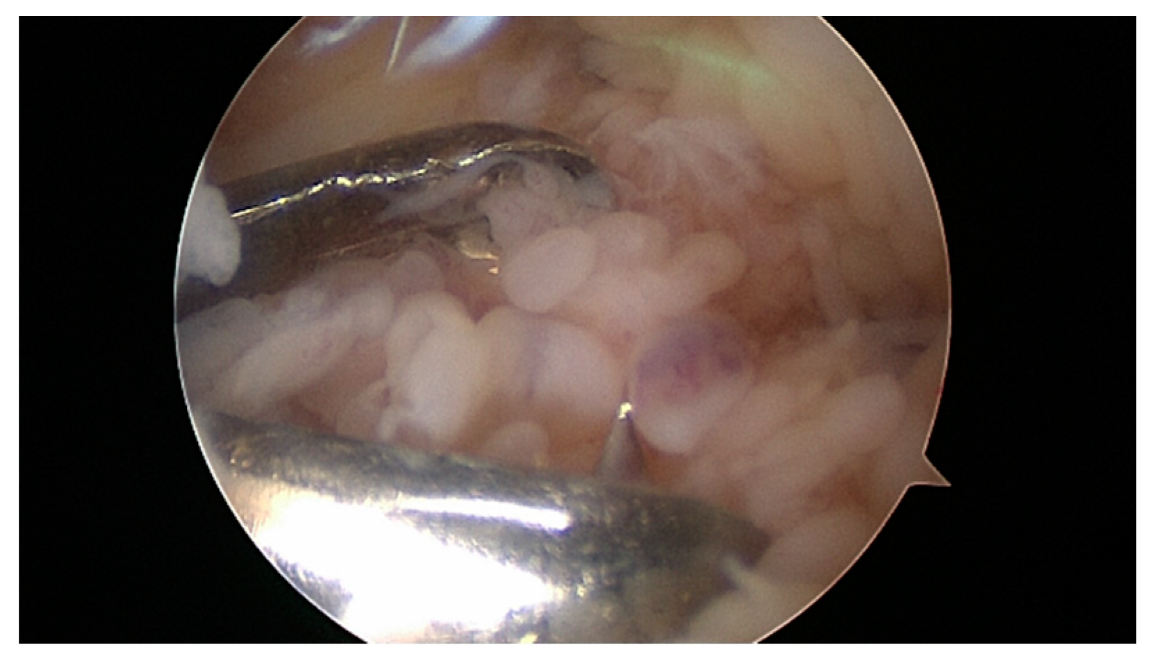 Applsci 10 08600 g001 Applsci 10 08600 g001