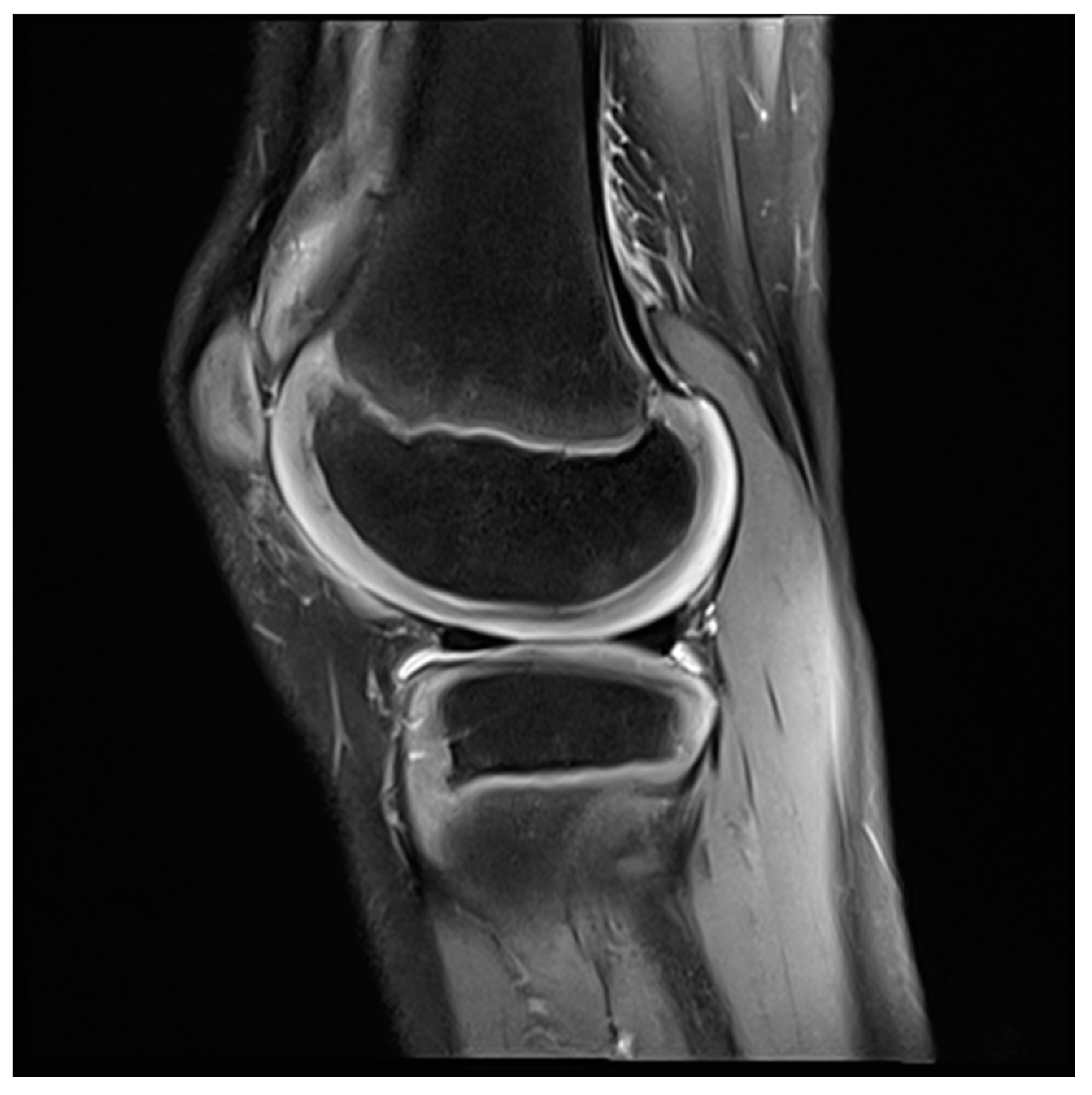 Applsci 10 08600 g003 Applsci 10 08600 g003