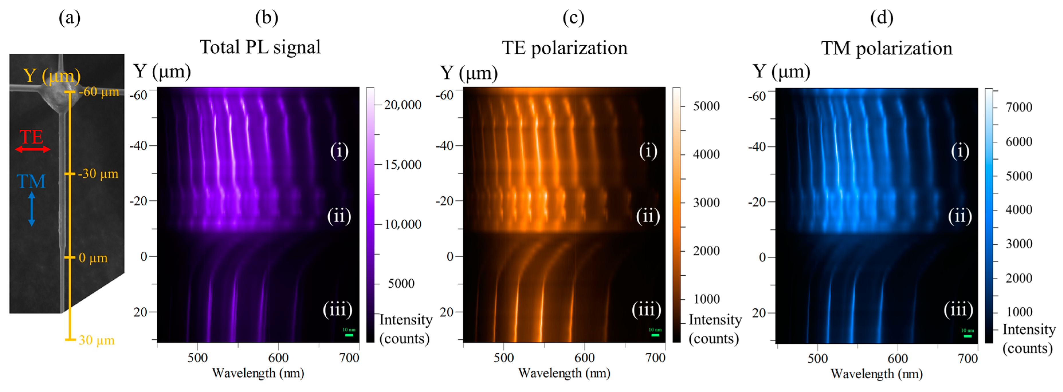 Applsci 10 08602 g003