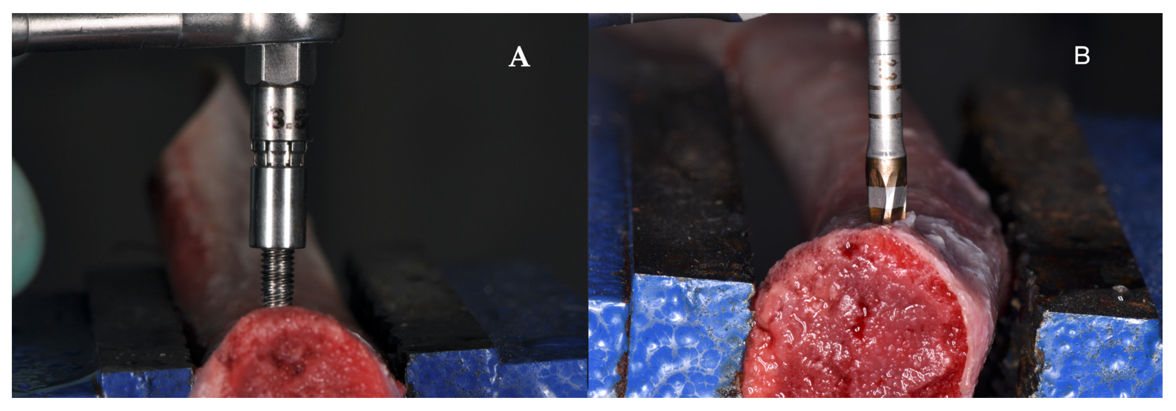 Applsci 10 08623 g001