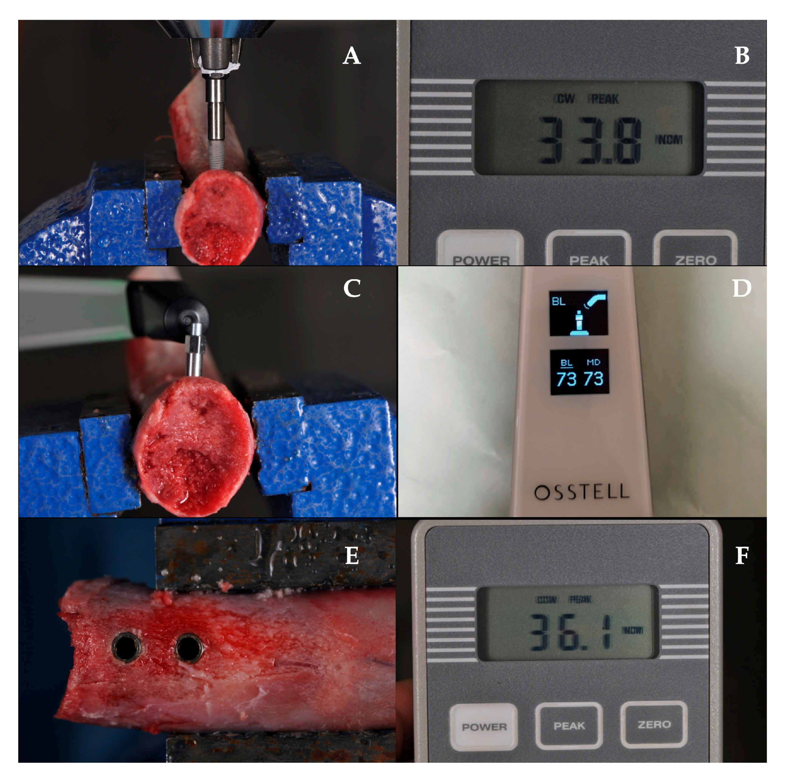 Applsci 10 08623 g002