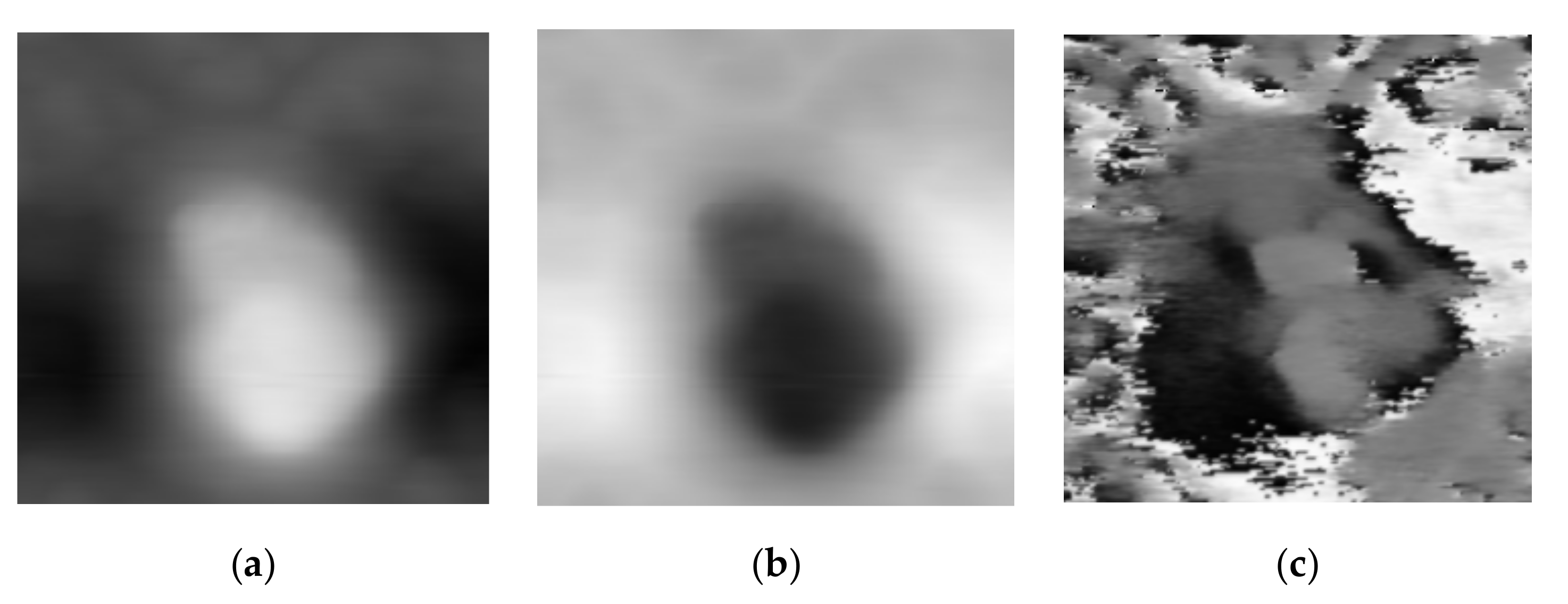 Applsci 10 08645 g002