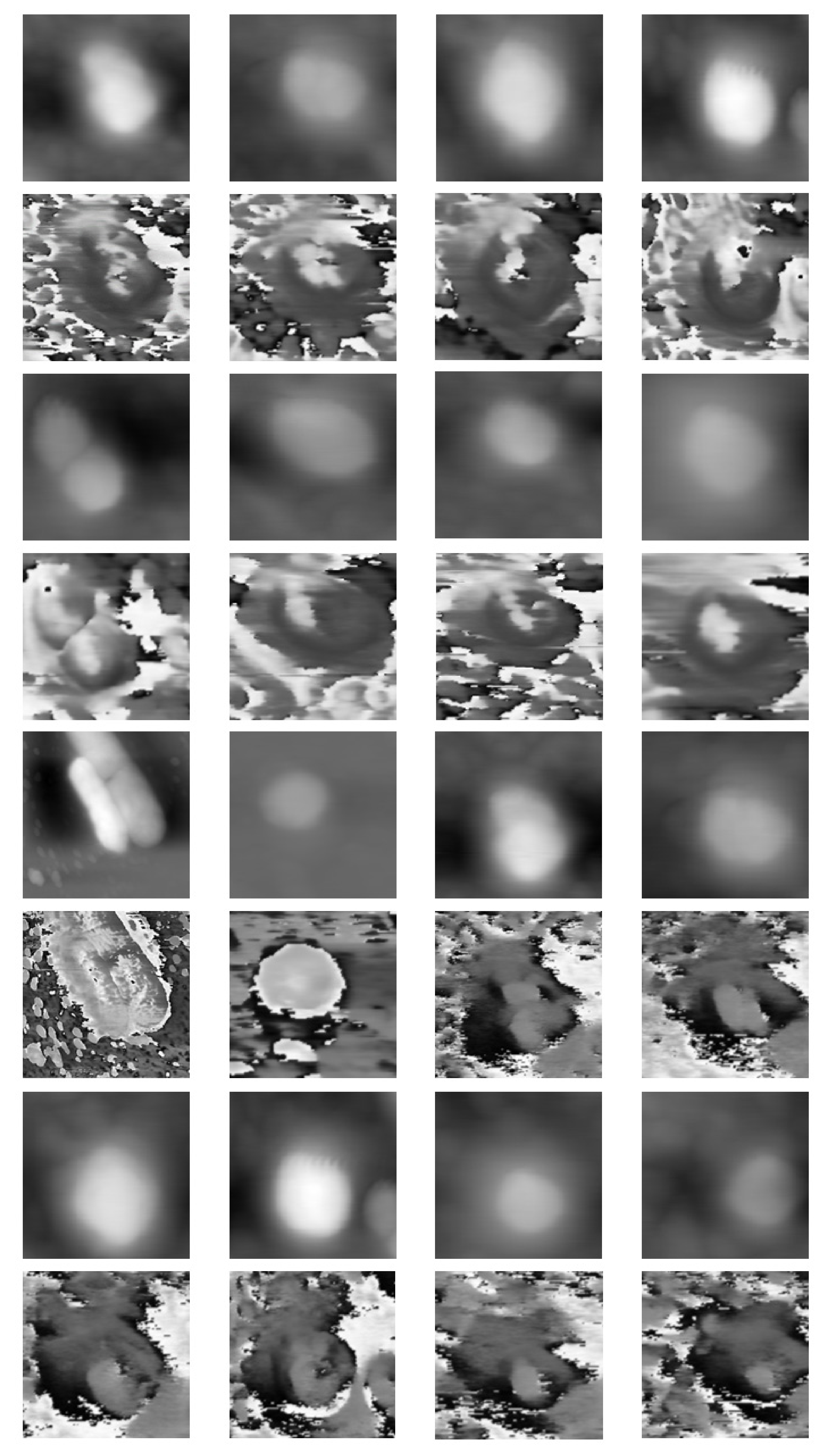 Applsci 10 08645 g004