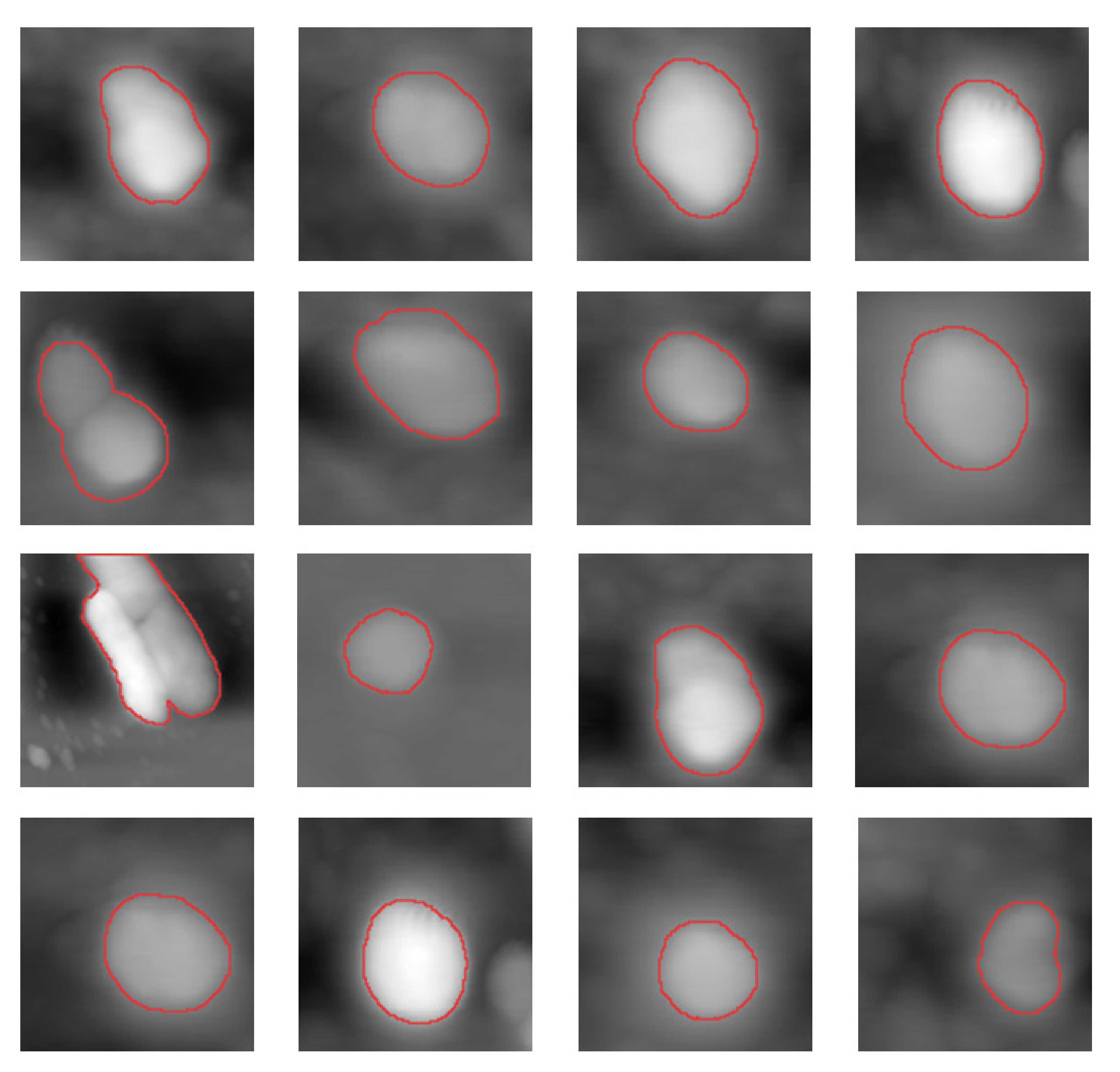 Applsci 10 08645 g005