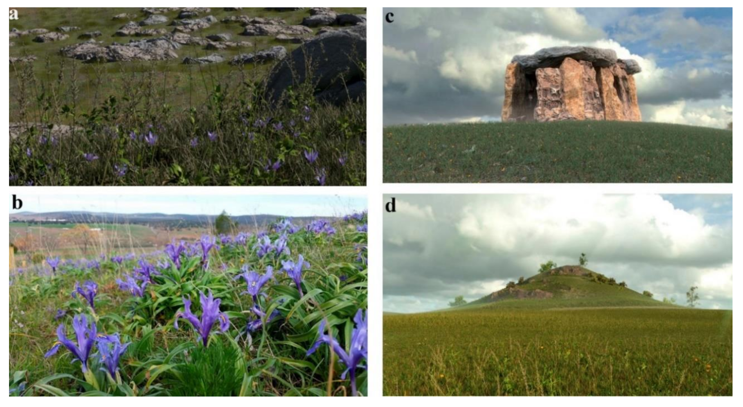 Applsci 10 08659 g014