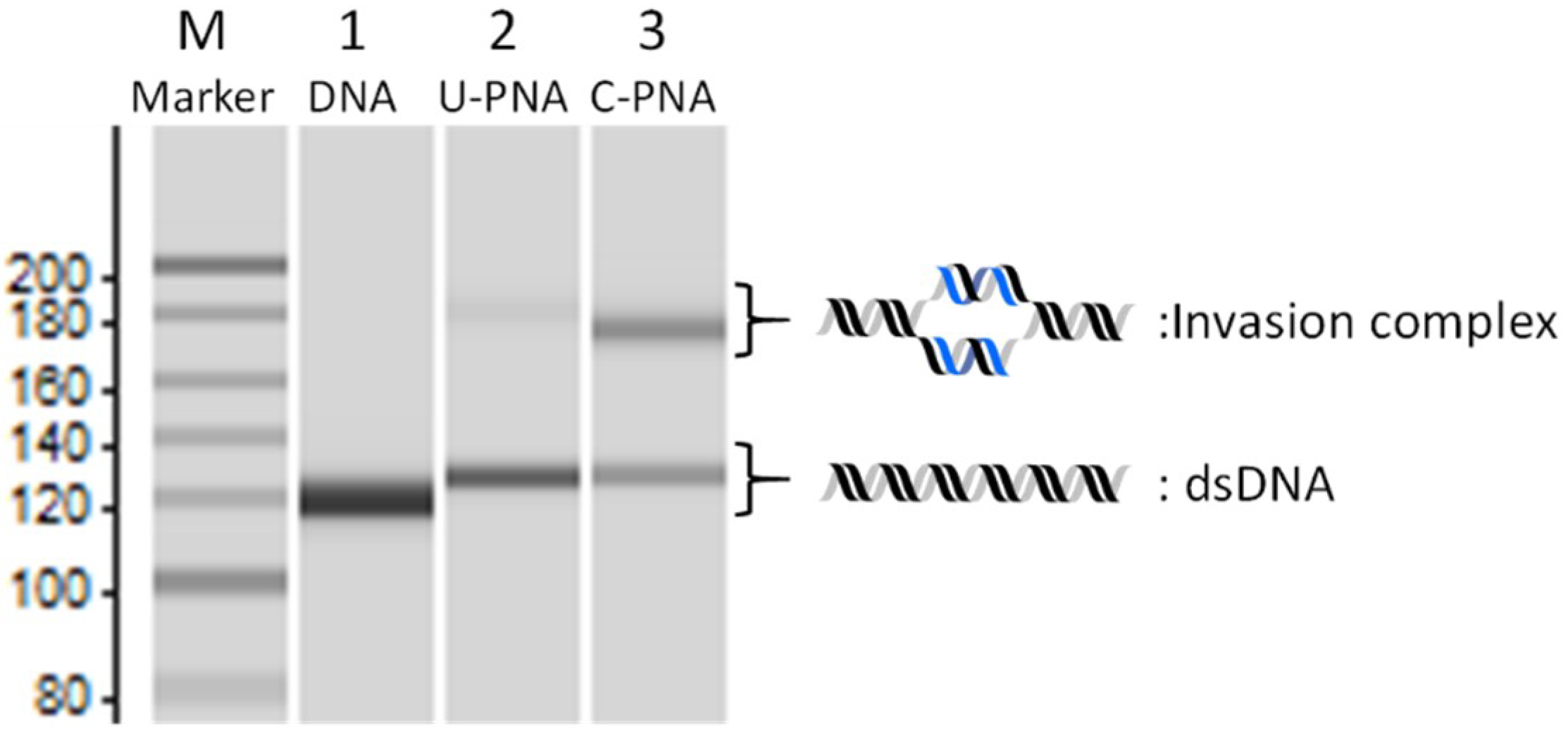 Applsci 10 08663 g002 Applsci 10 08663 g002