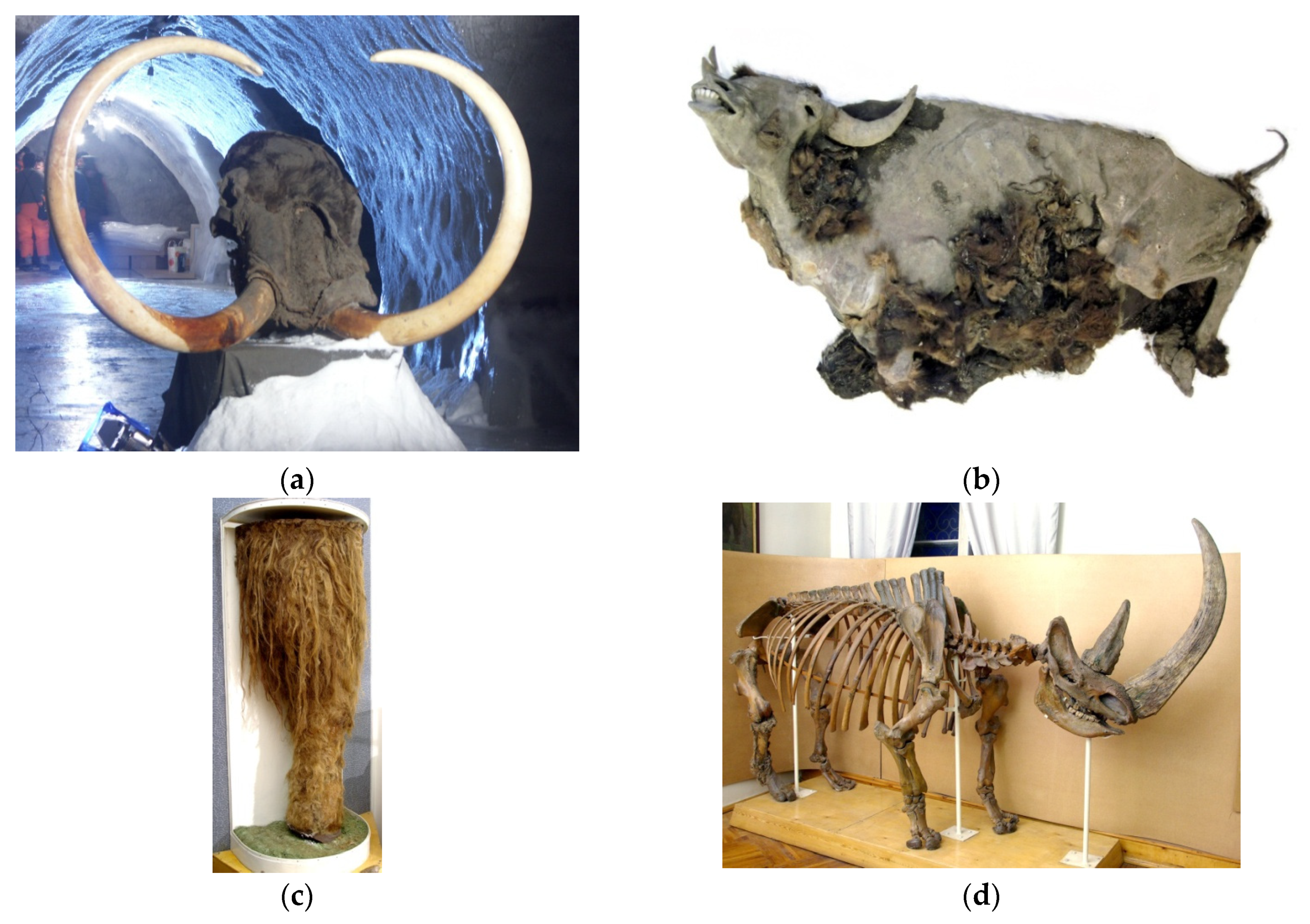 Applsci 10 08664 g002 Applsci 10 08664 g002