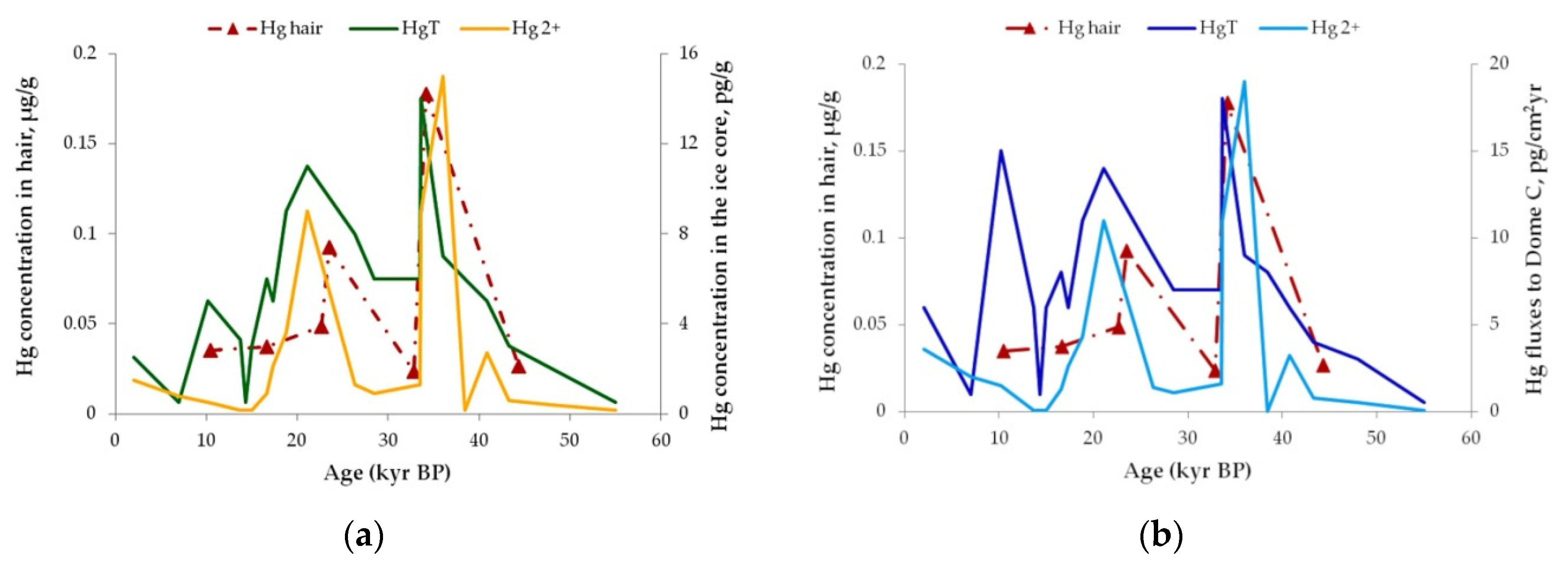 Applsci 10 08664 g004 Applsci 10 08664 g004