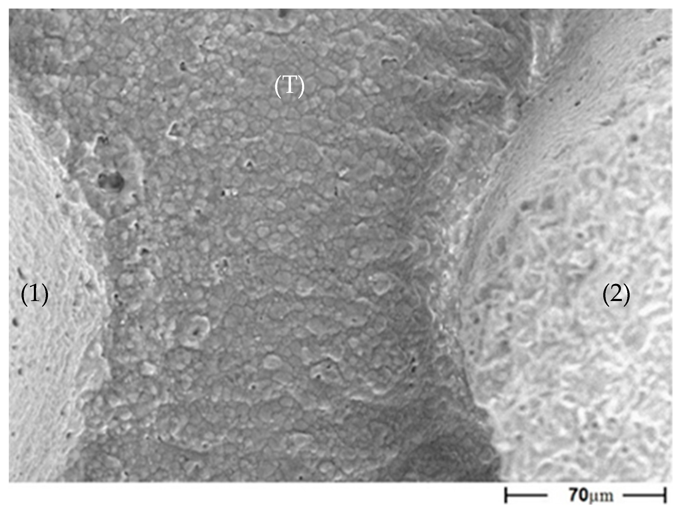 Applsci 10 08677 g004