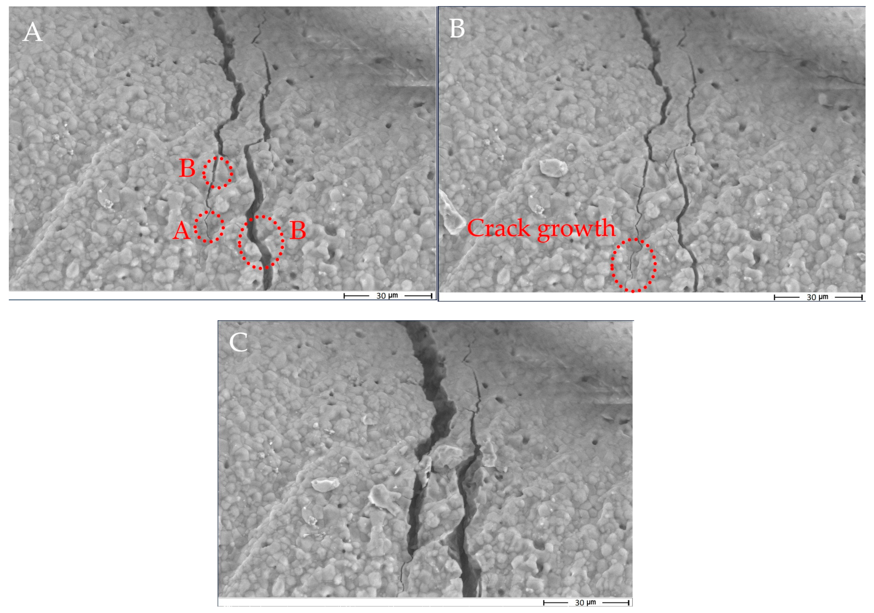 Applsci 10 08677 g012