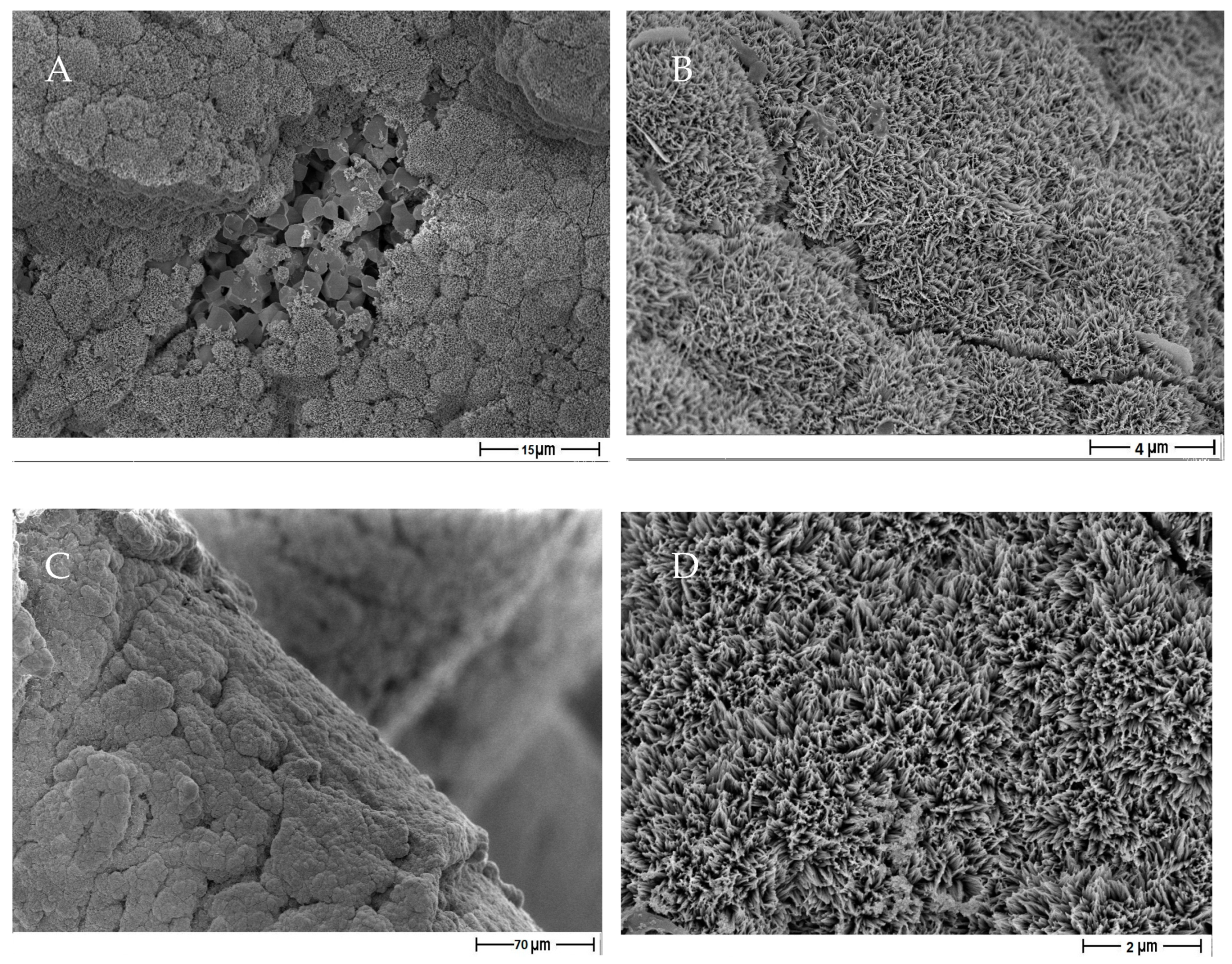 Applsci 10 08677 g013