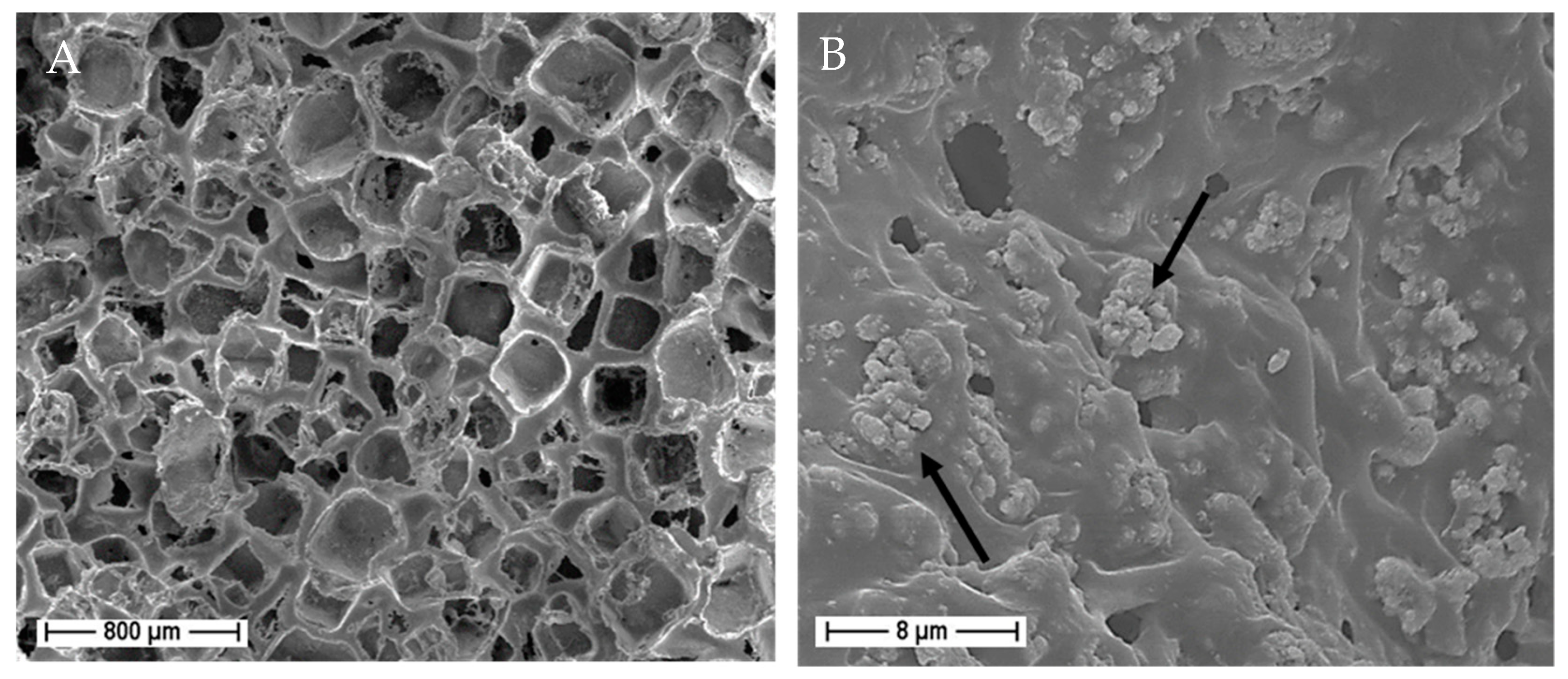 Applsci 10 08677 g015