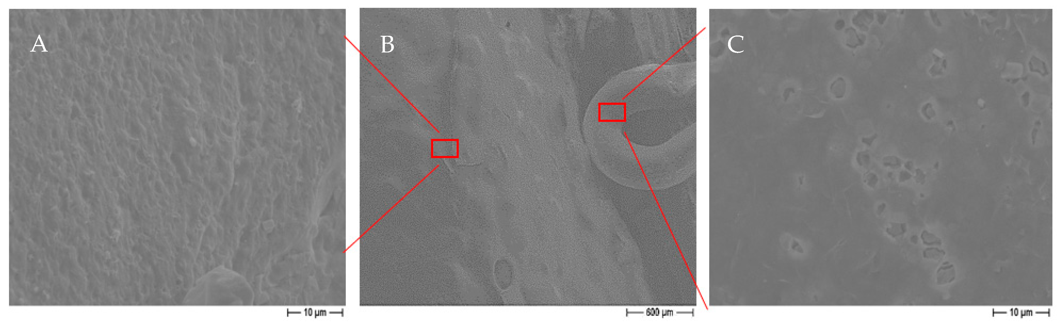 Applsci 10 08677 g017