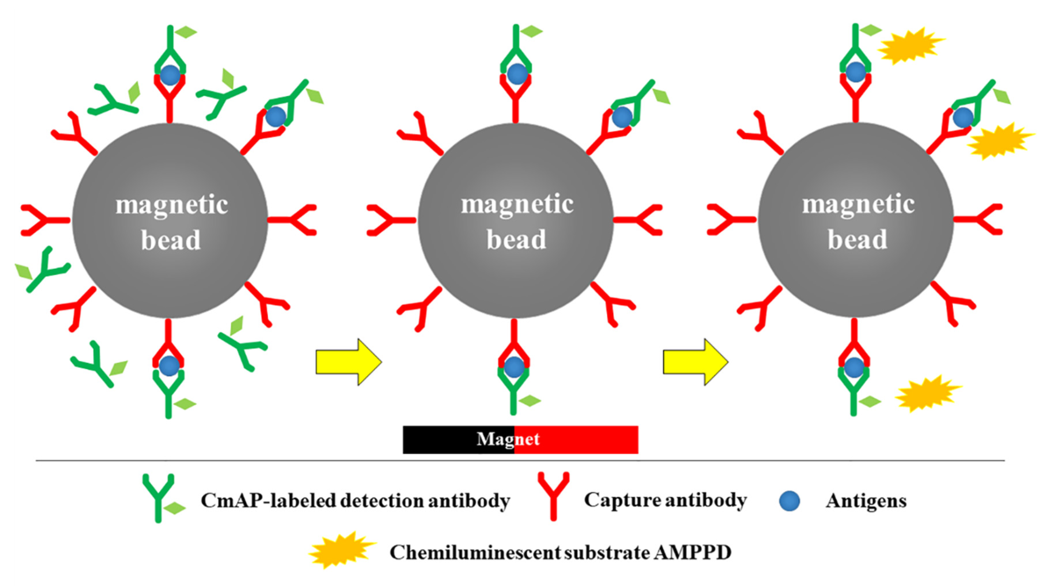 Applsci 10 08682 g001 Applsci 10 08682 g001