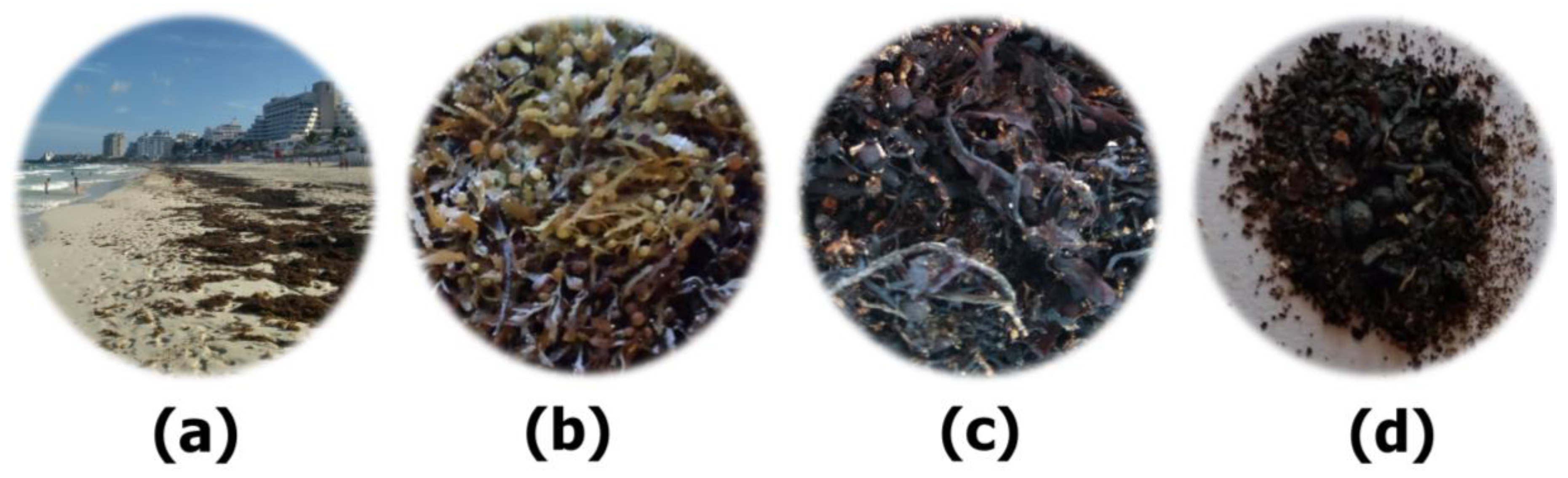 Applsci 10 08706 g001