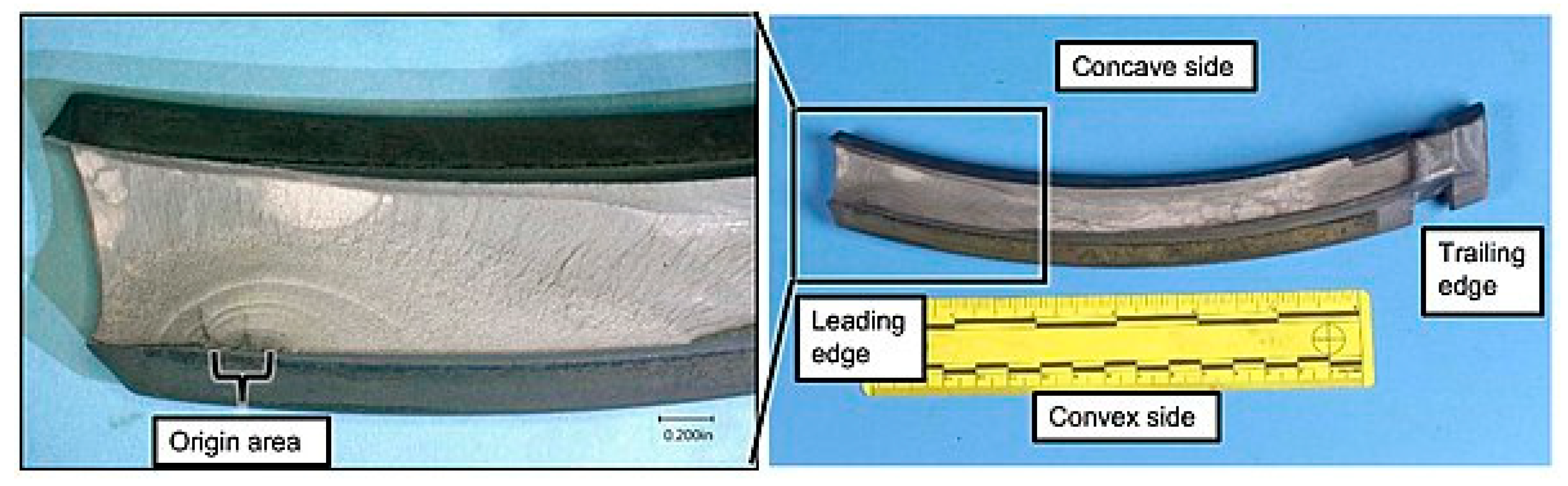 Applsci 10 08718 g001