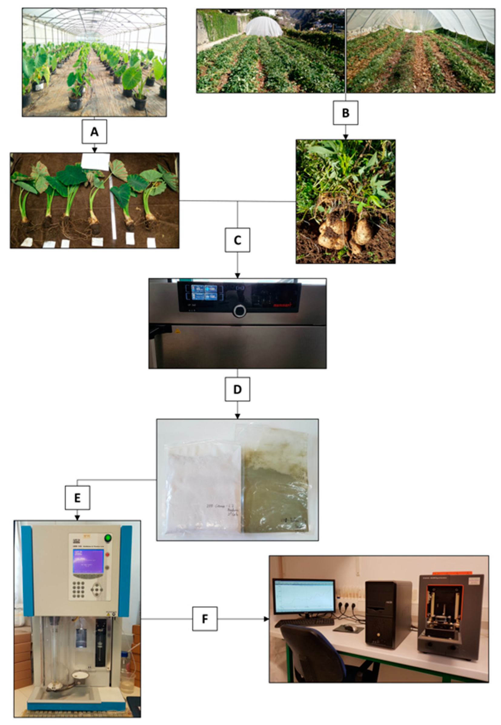 Applsci 10 08724 g001 Applsci 10 08724 g001