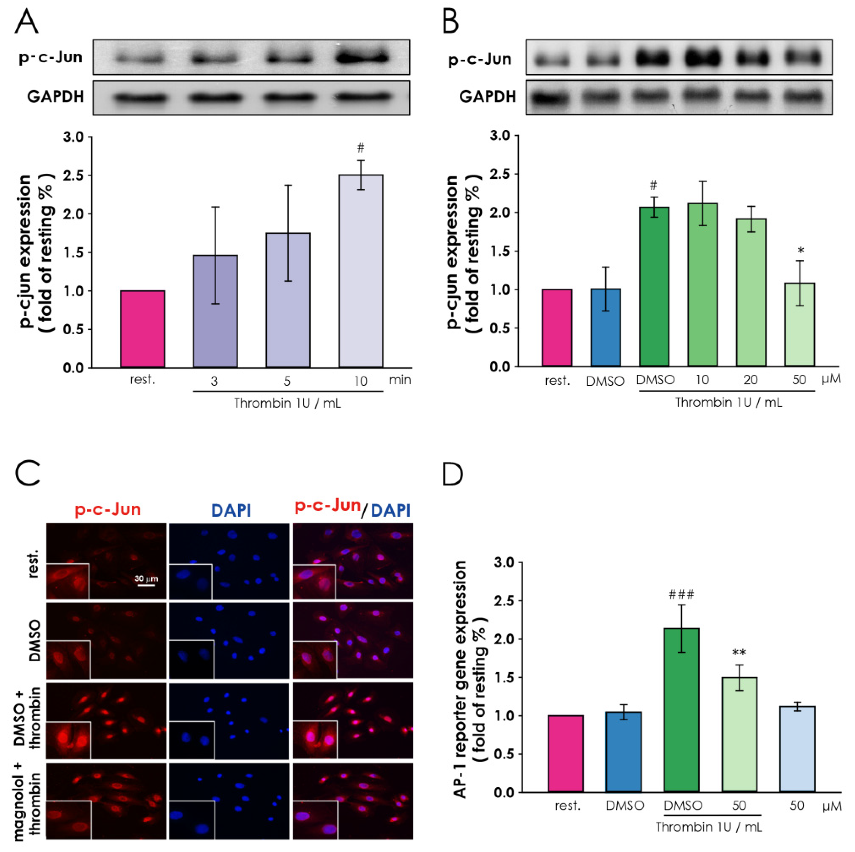 Applsci 10 08729 g004 Applsci 10 08729 g004