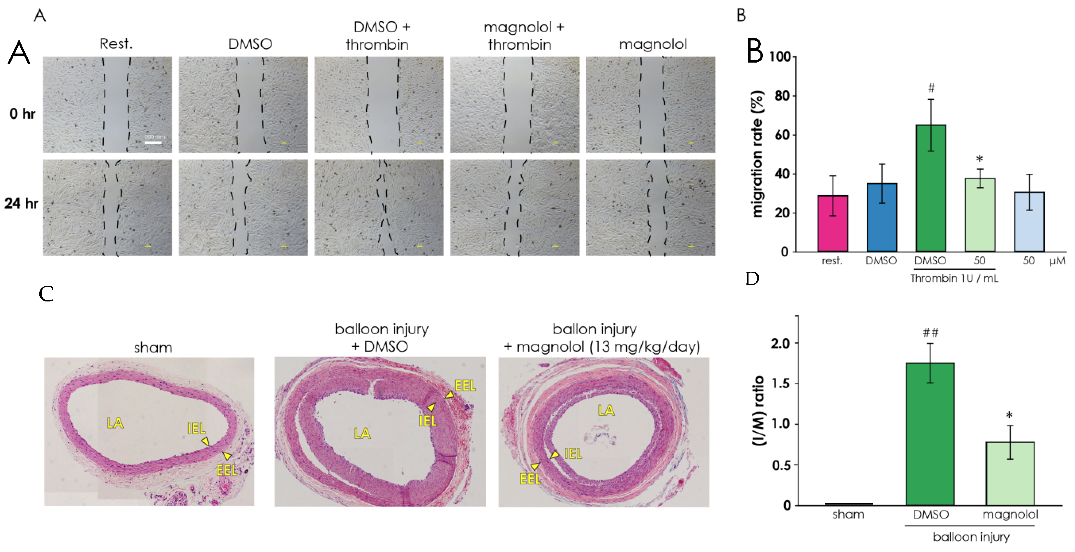 Applsci 10 08729 g005 Applsci 10 08729 g005