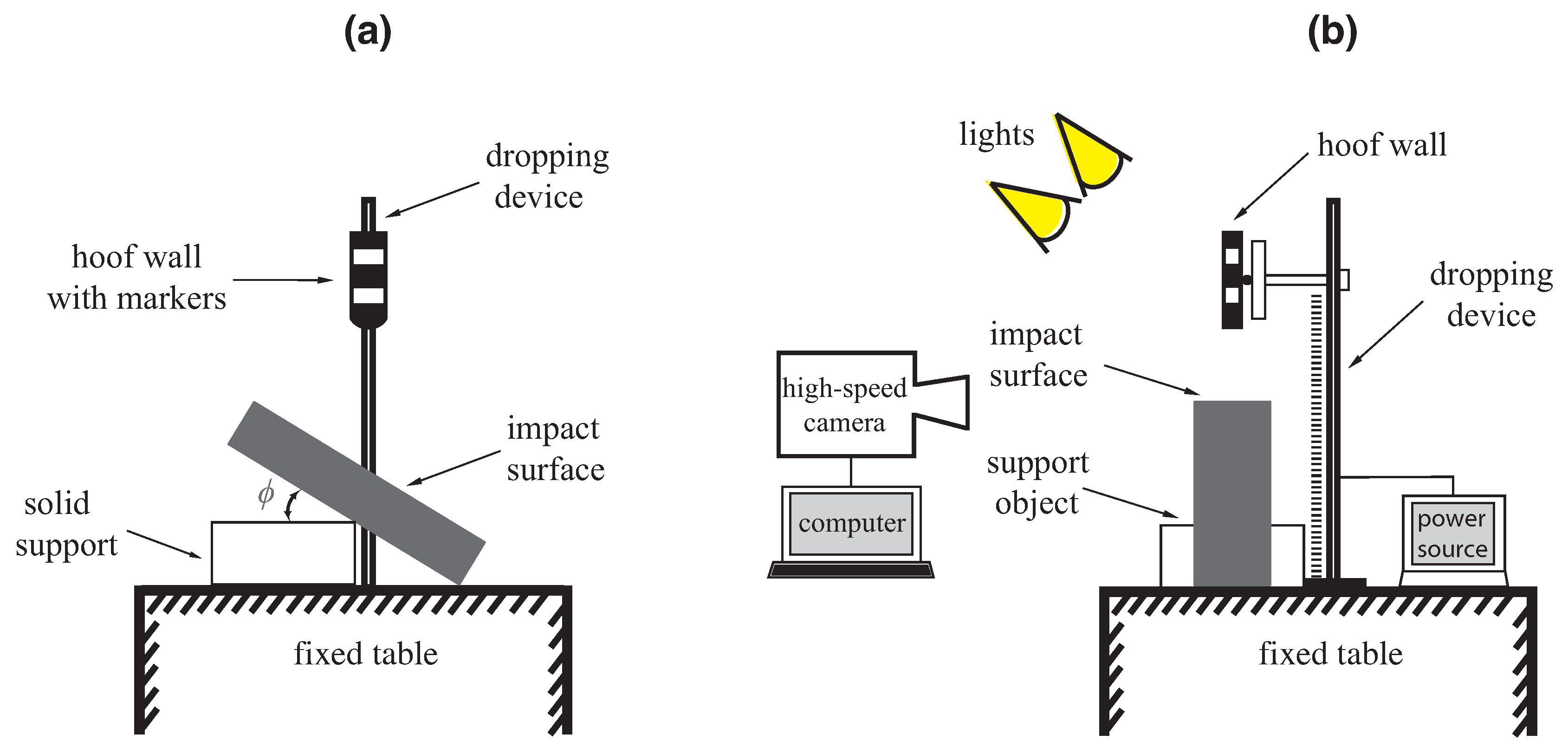 Applsci 10 08743 g001