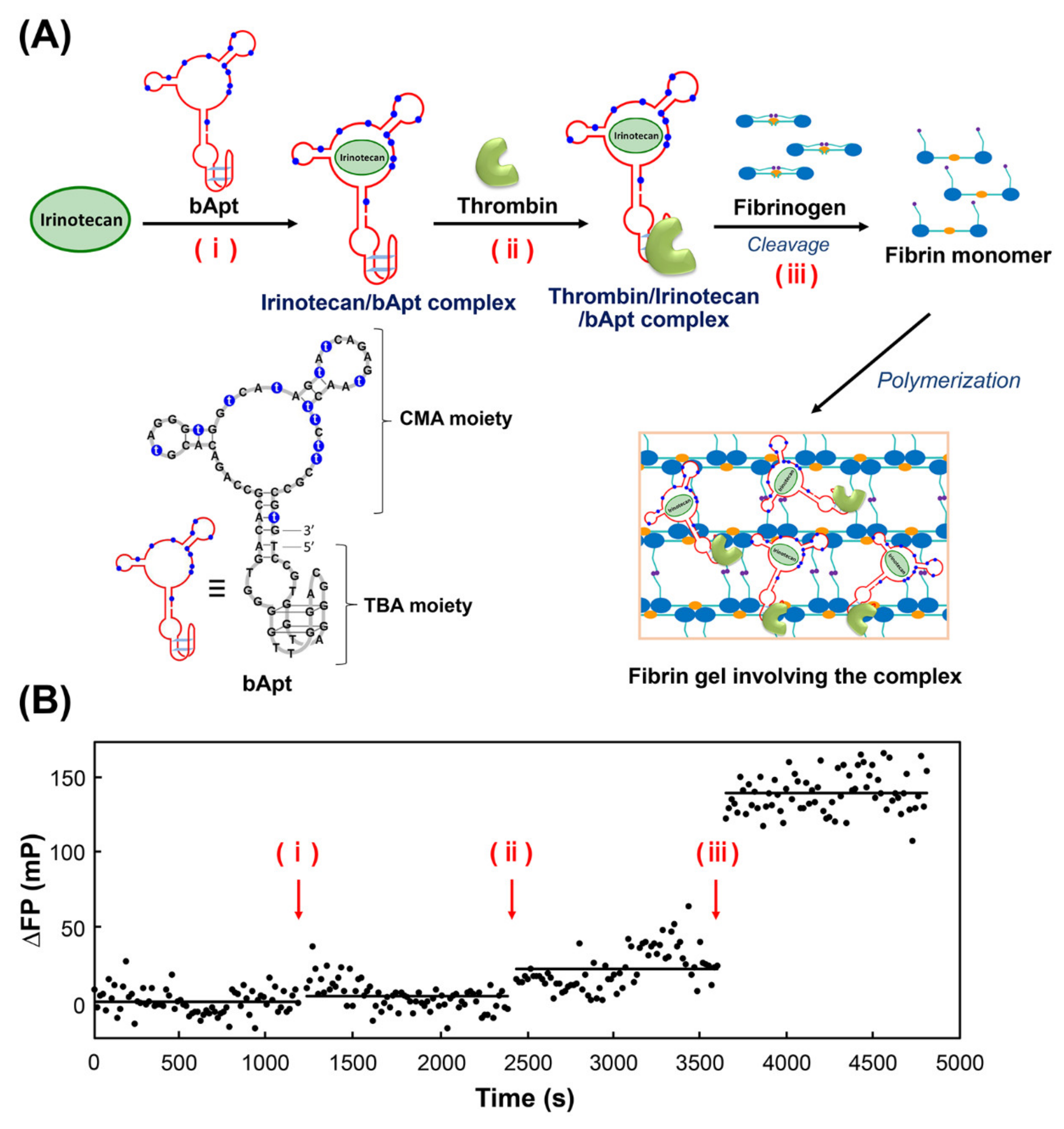 Applsci 10 08755 g003 Applsci 10 08755 g003