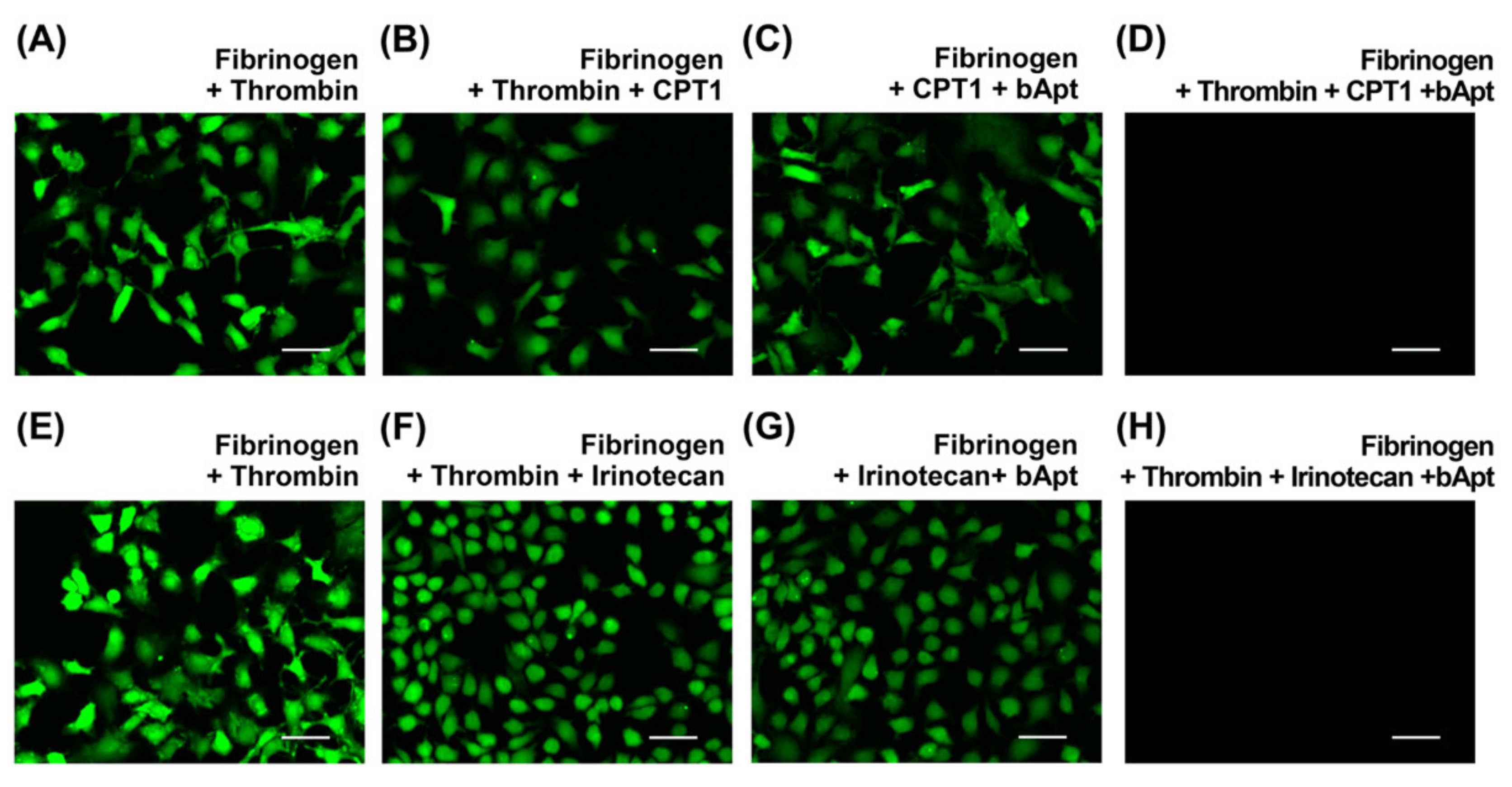 Applsci 10 08755 g004 Applsci 10 08755 g004