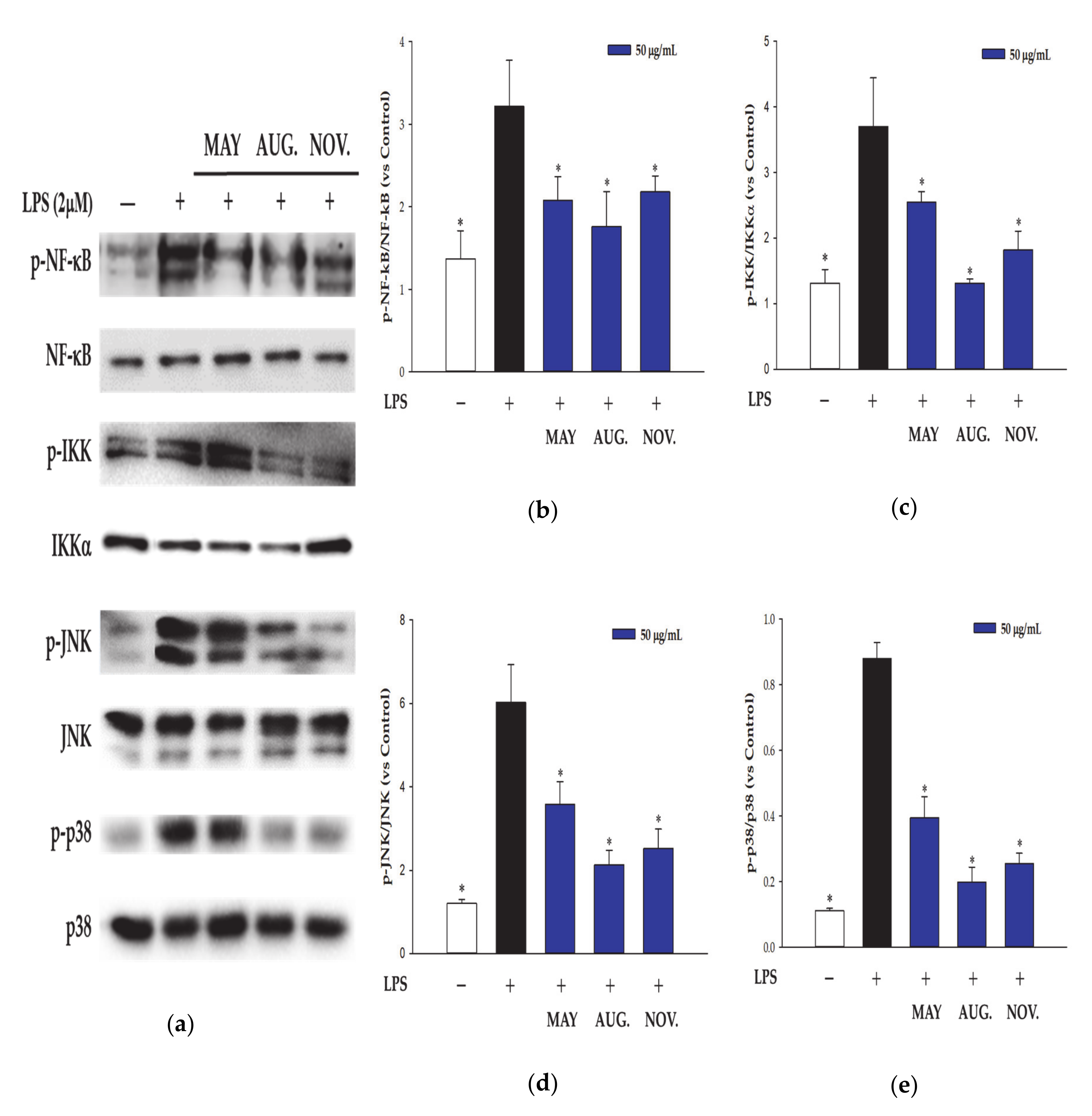 Applsci 10 08756 g005