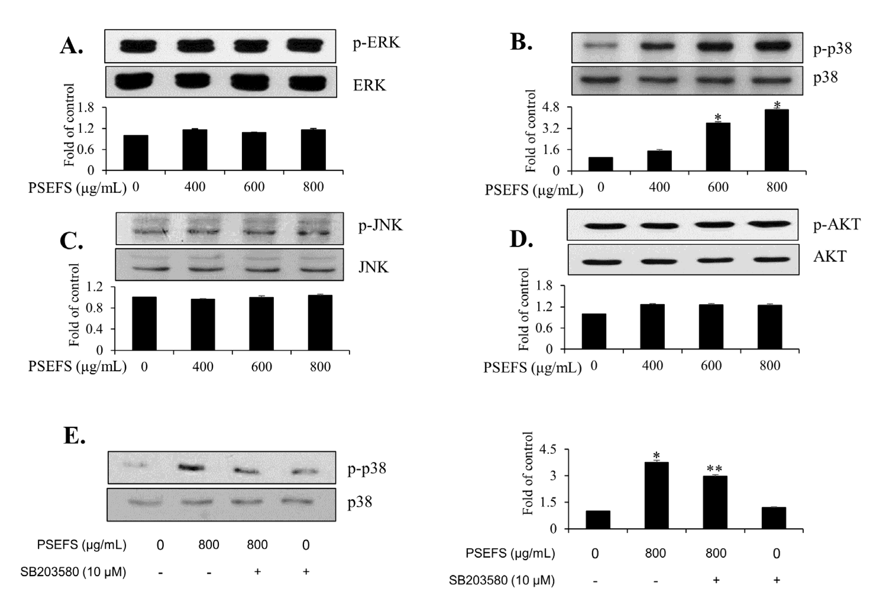 Applsci 10 08758 g003 Applsci 10 08758 g003