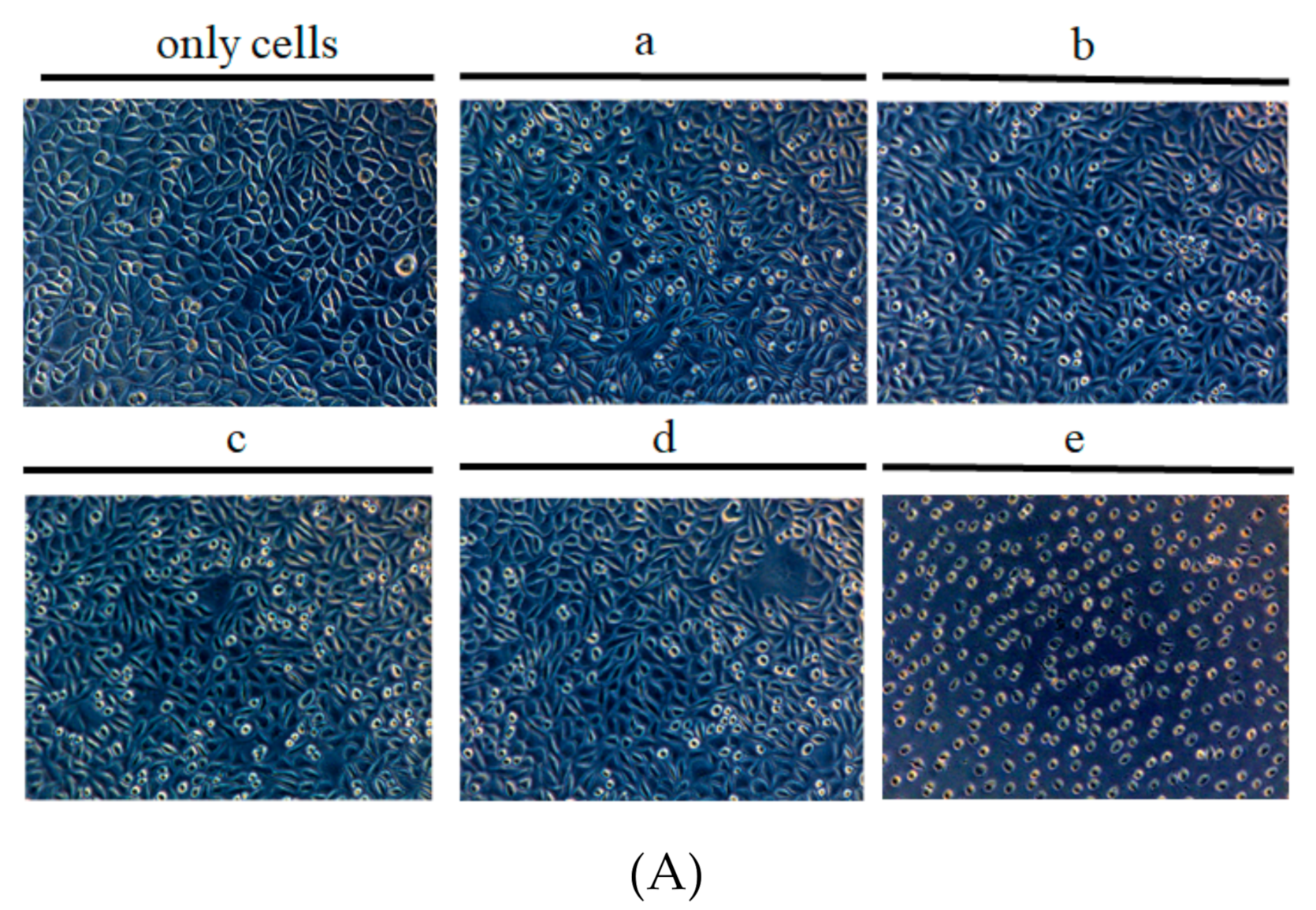 Applsci 10 08759 g008a Applsci 10 08759 g008a
