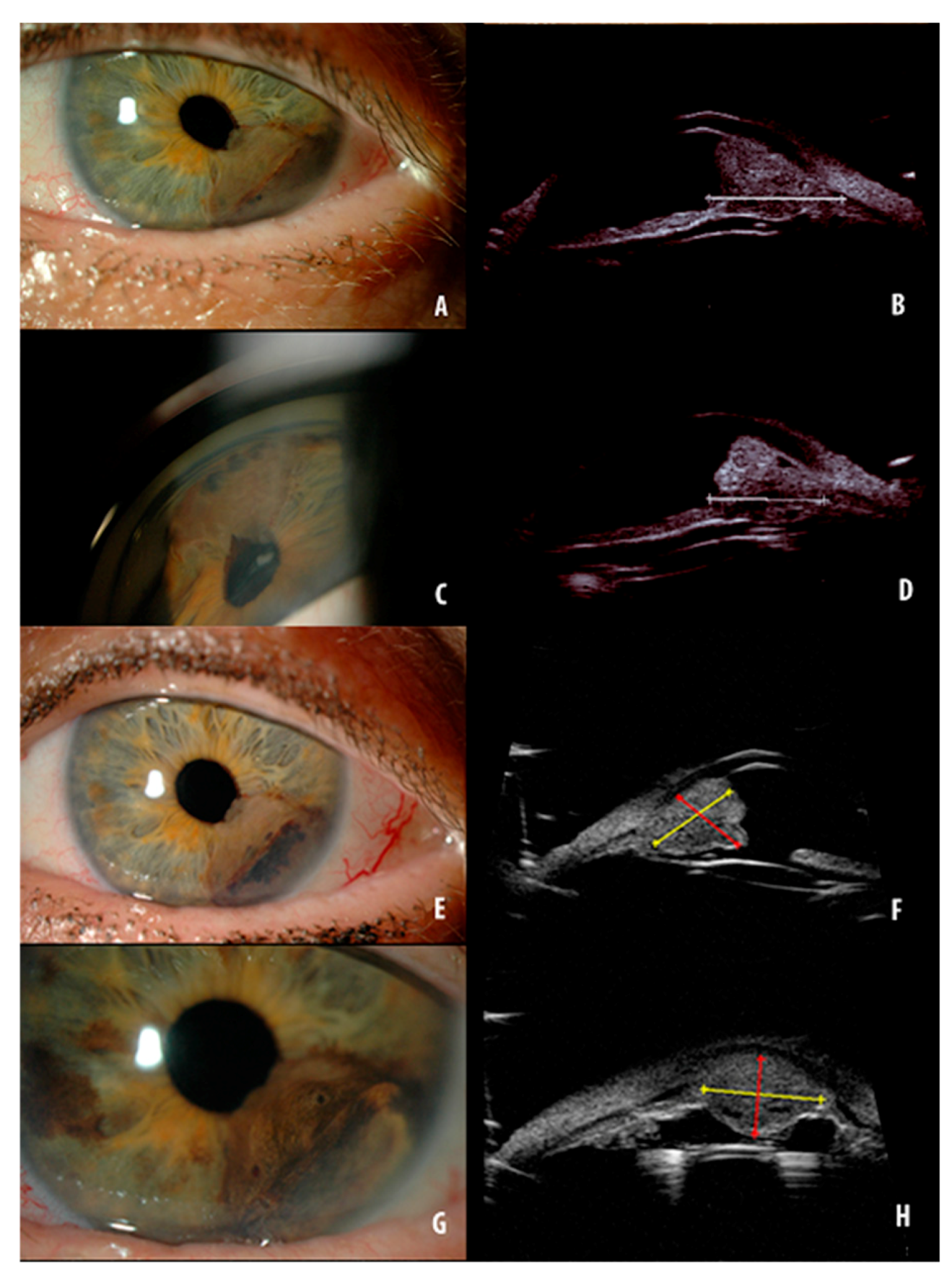 Applsci 10 08766 g001 Applsci 10 08766 g001