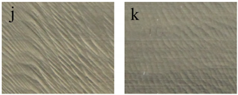 Applsci 10 08779 i010