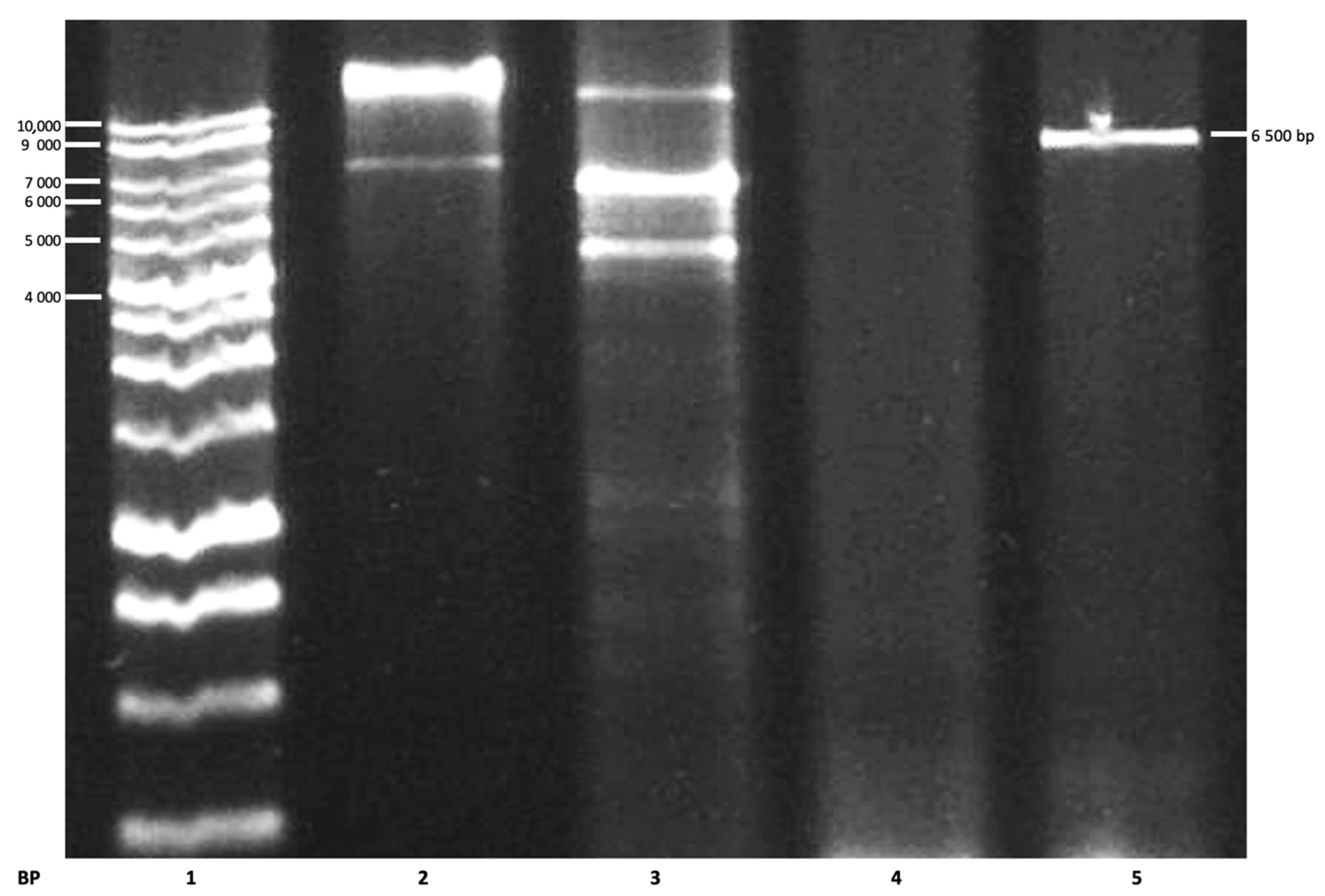 Applsci 10 08787 g004