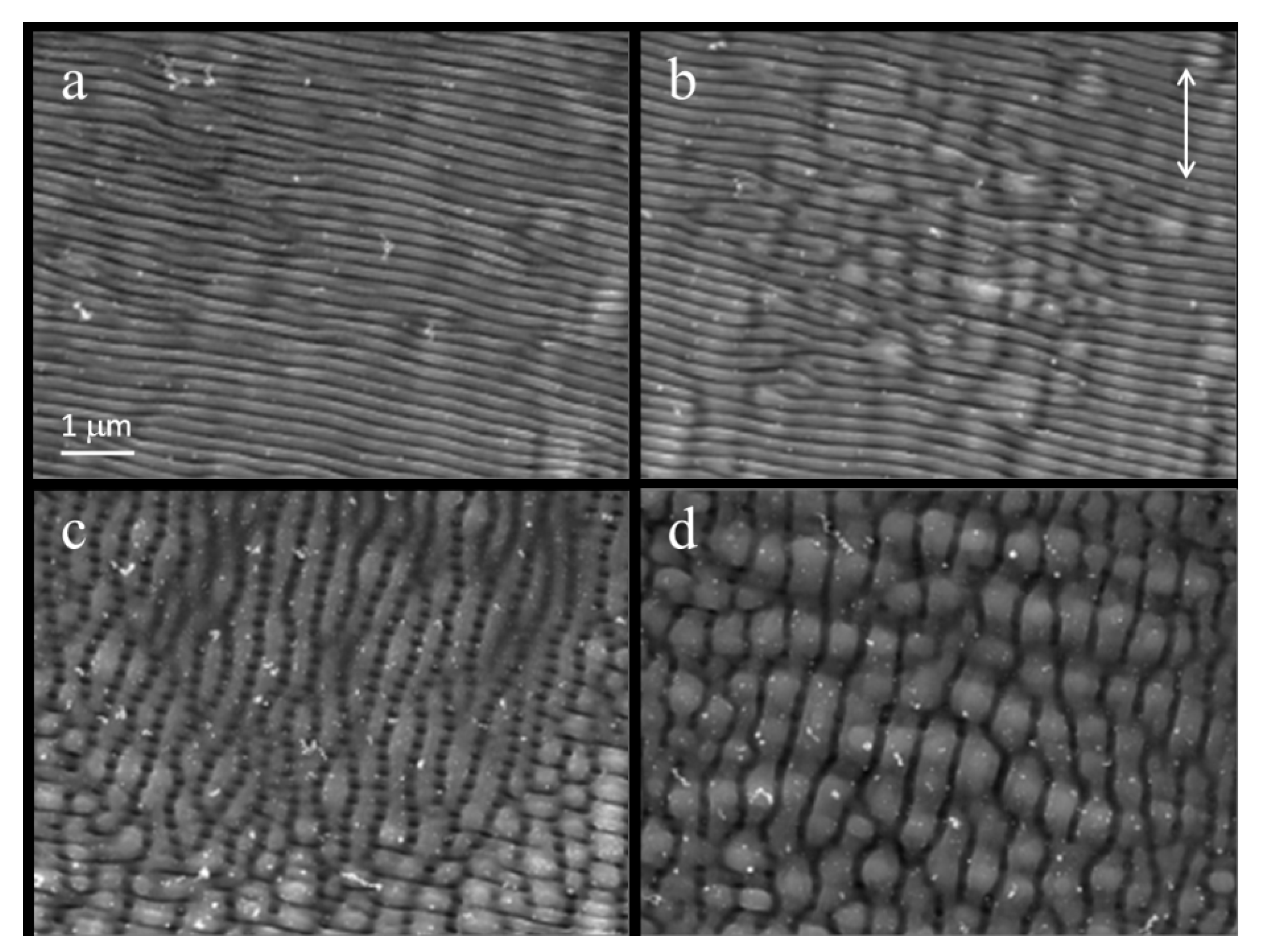 Applsci 10 08811 g008 Applsci 10 08811 g008