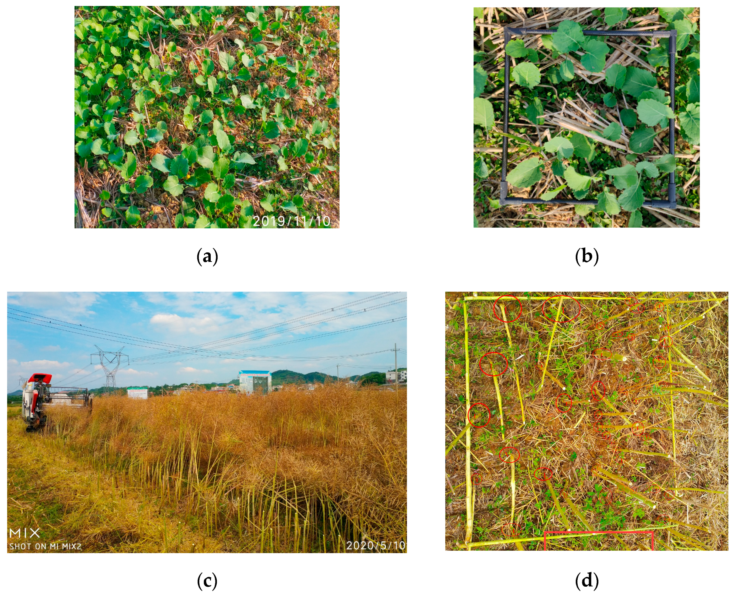 Applsci 10 08854 g006 Applsci 10 08854 g006