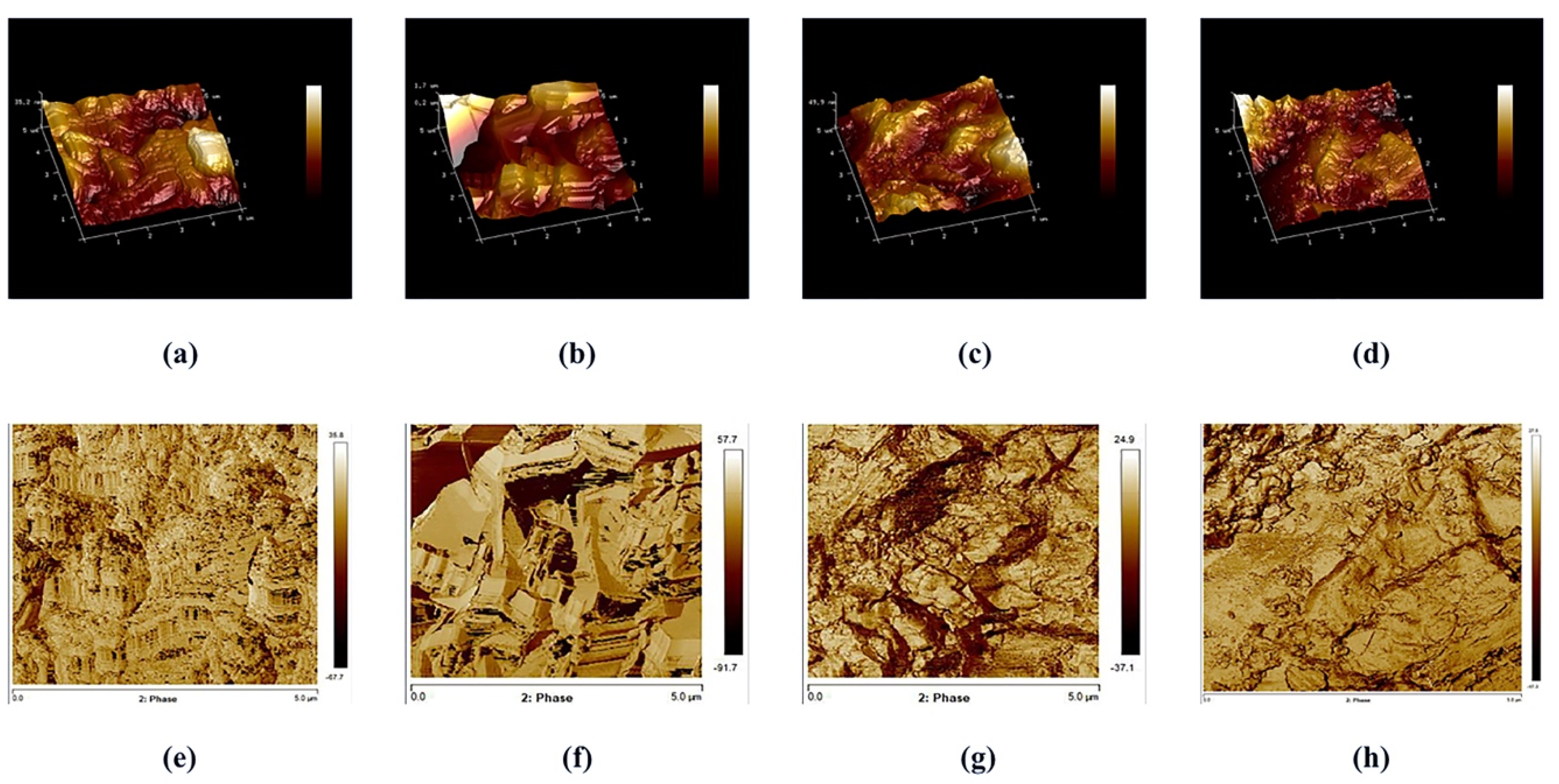 Applsci 10 08856 g003 Applsci 10 08856 g003